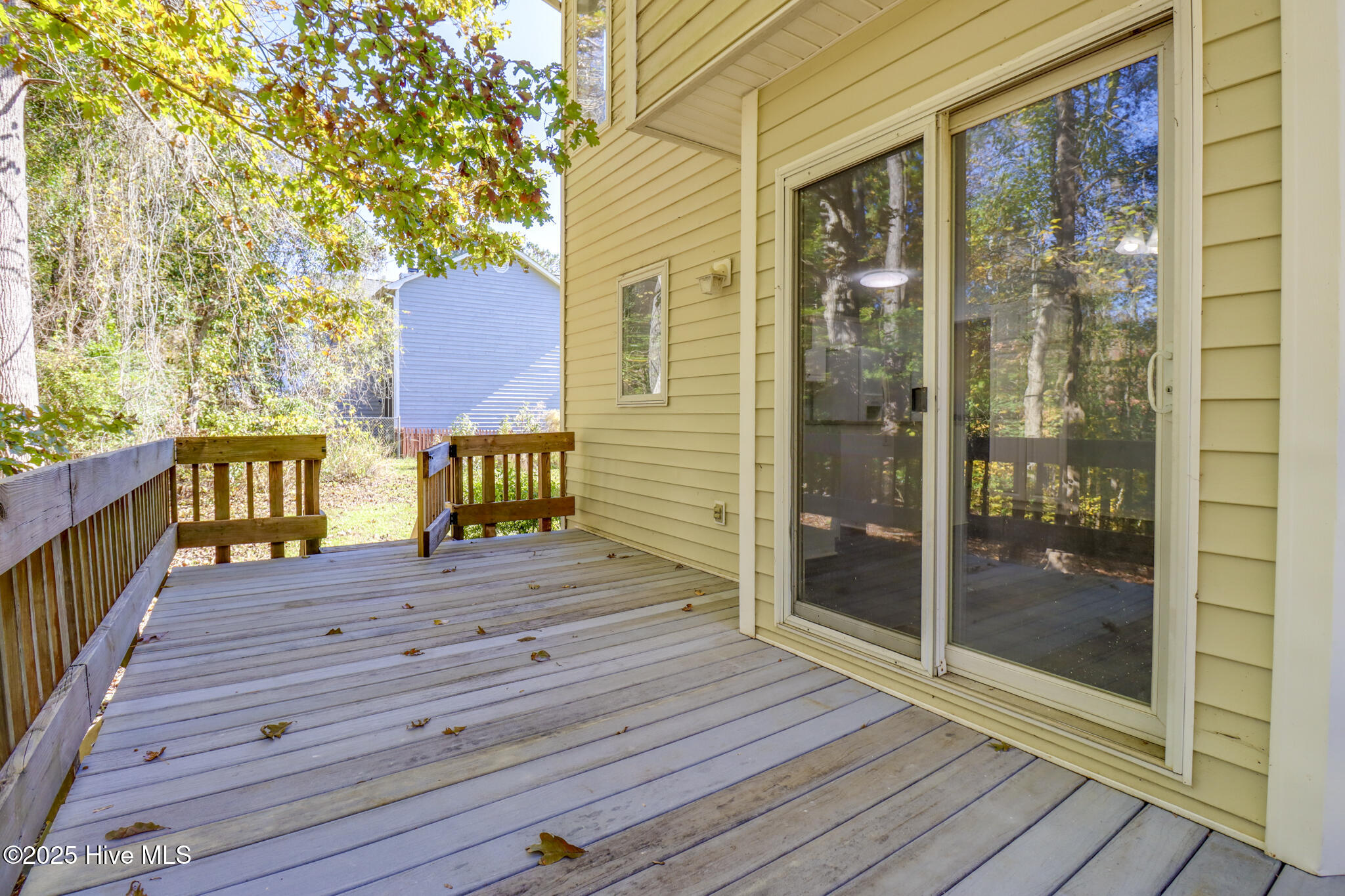 100541219 | Photo 20