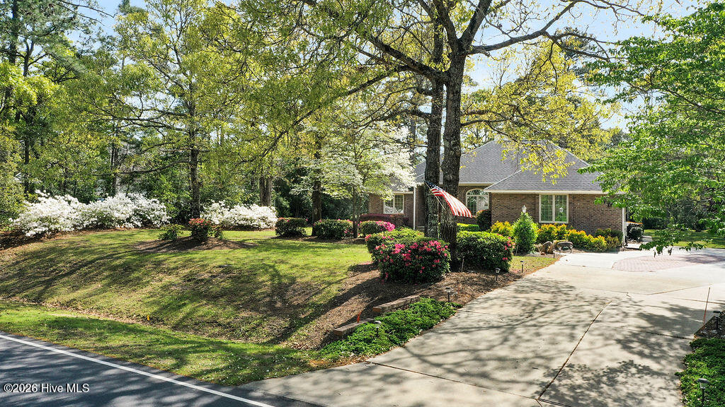 100567703 | Photo 31