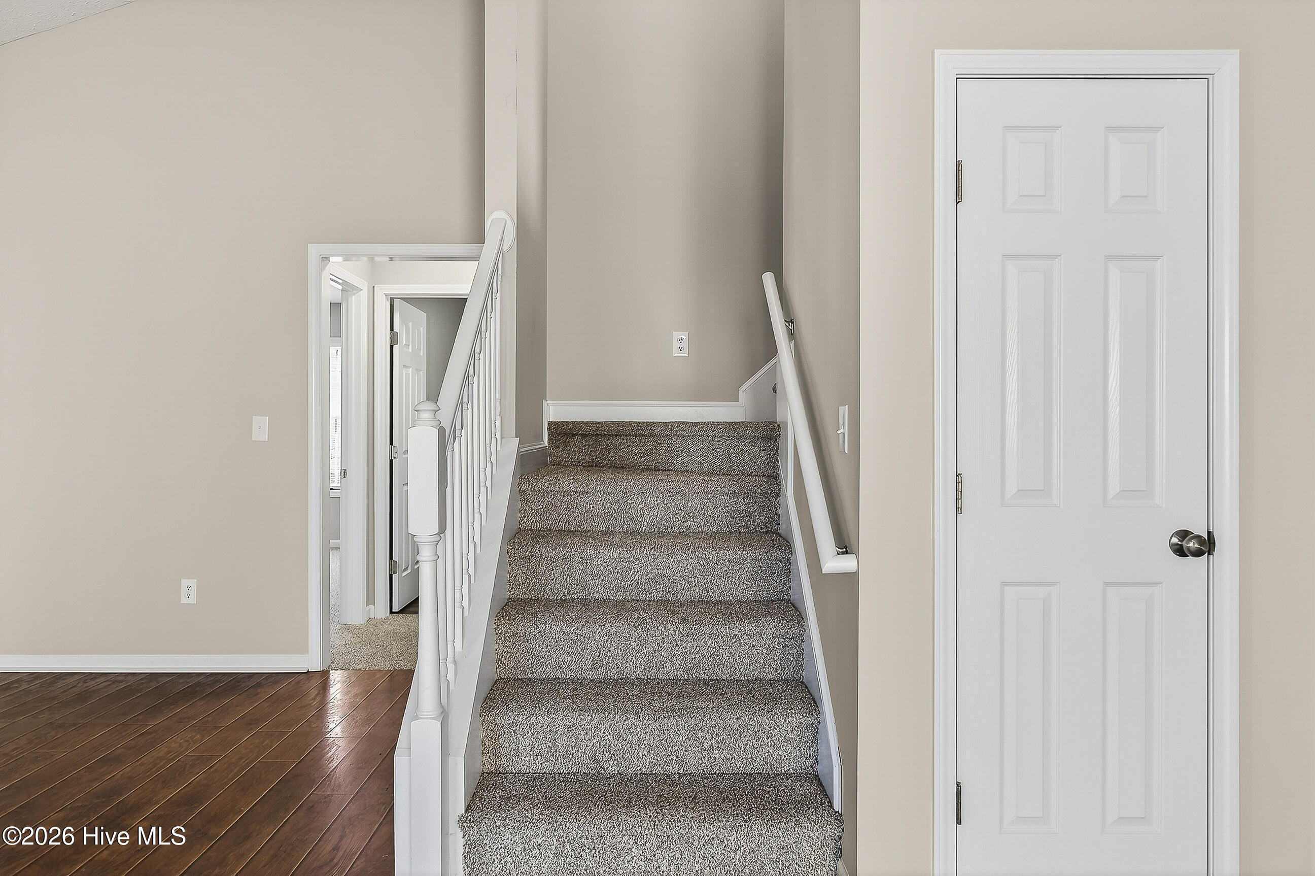 100552095 | Photo 28