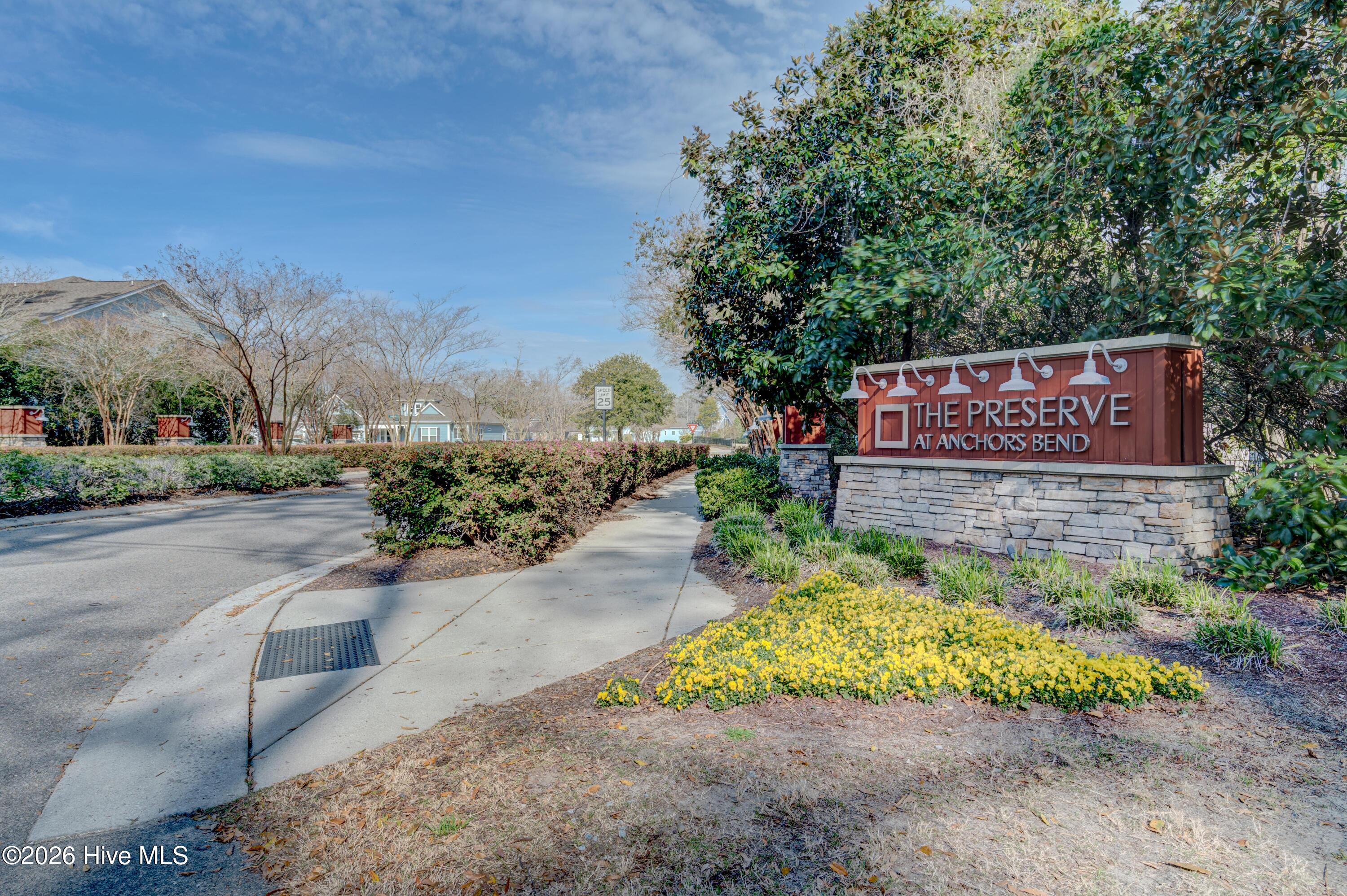 100558157 | Photo 59