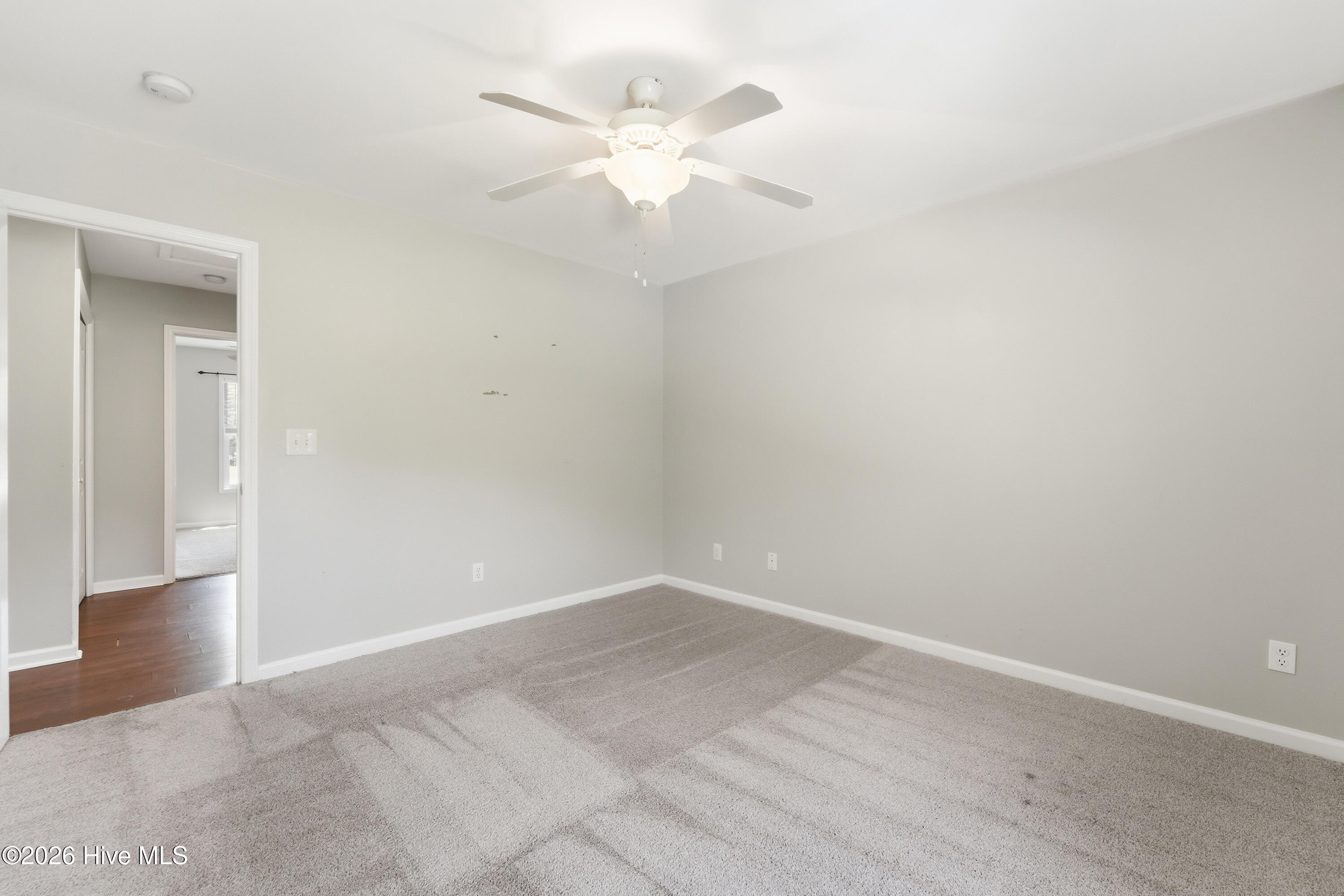 100568170 | Photo 37