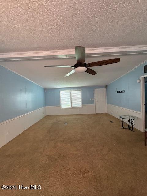 100523737 | Photo 11