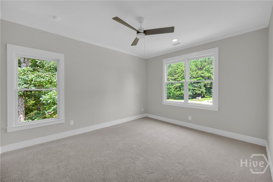 Spacious room featuring light gray walls, plush gray carpeting, and white trim