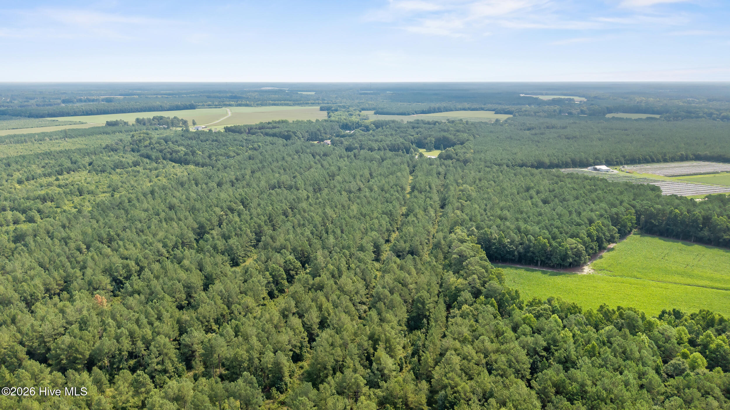 4th image of 0 Indian Hill Rd, Willard, NC 28478 | MLS# 100589262