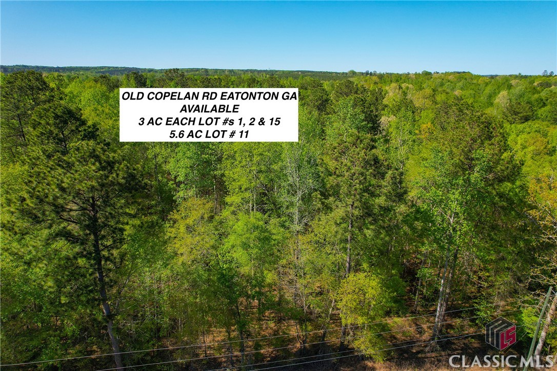 Homes for sale in Eatonton, GA | Lot 15 Old Copelan Rd, Eatonton, GA 31024 | MLS# CM1023726