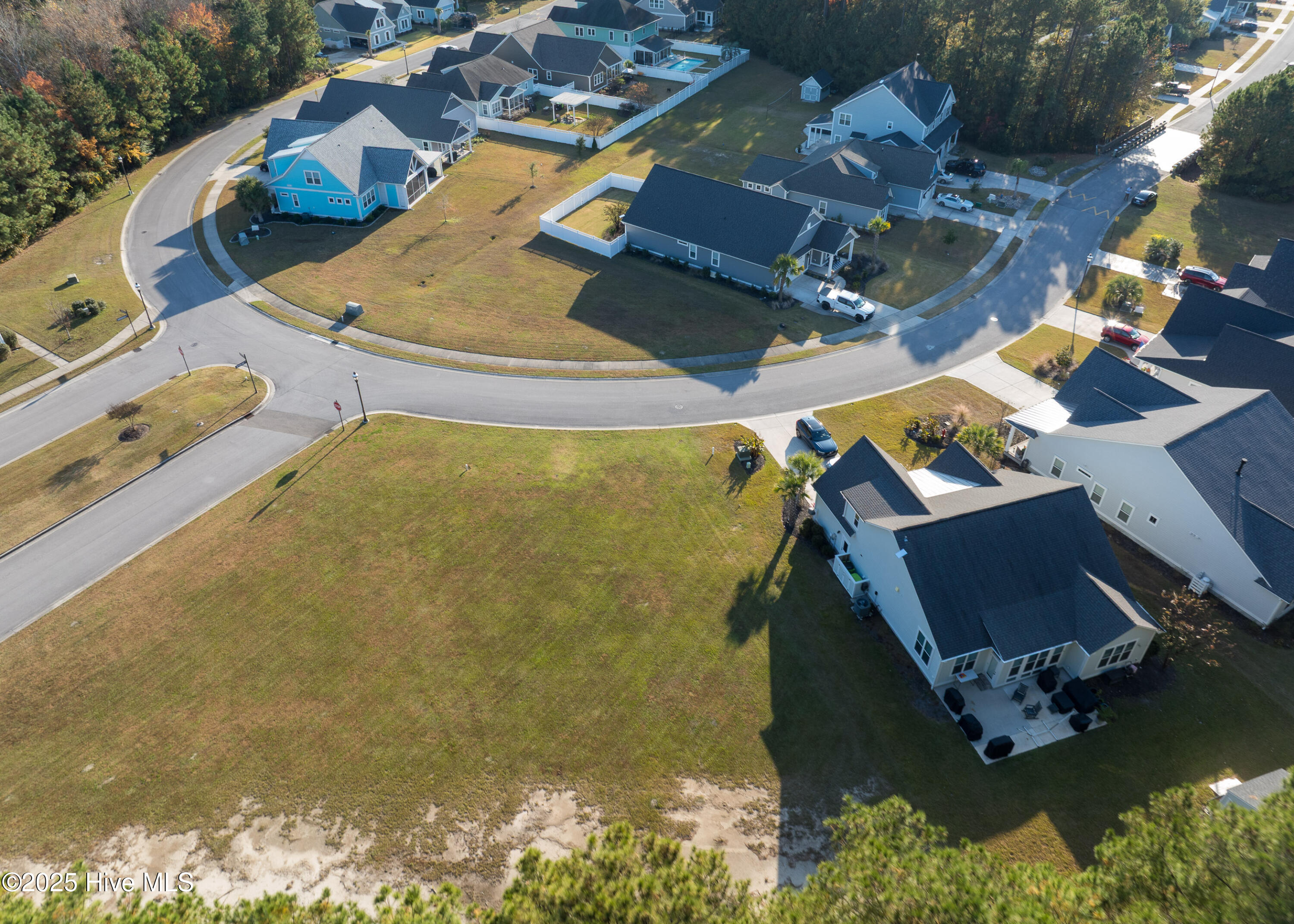 100542929 | Photo 13