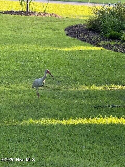 100538166 | Photo 51