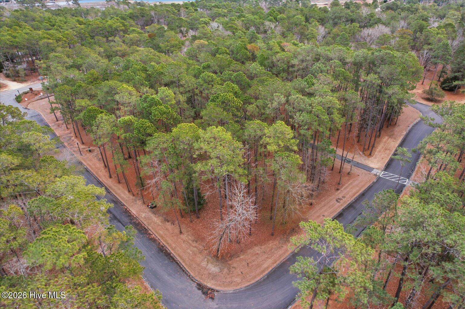 100555112 | Photo 21