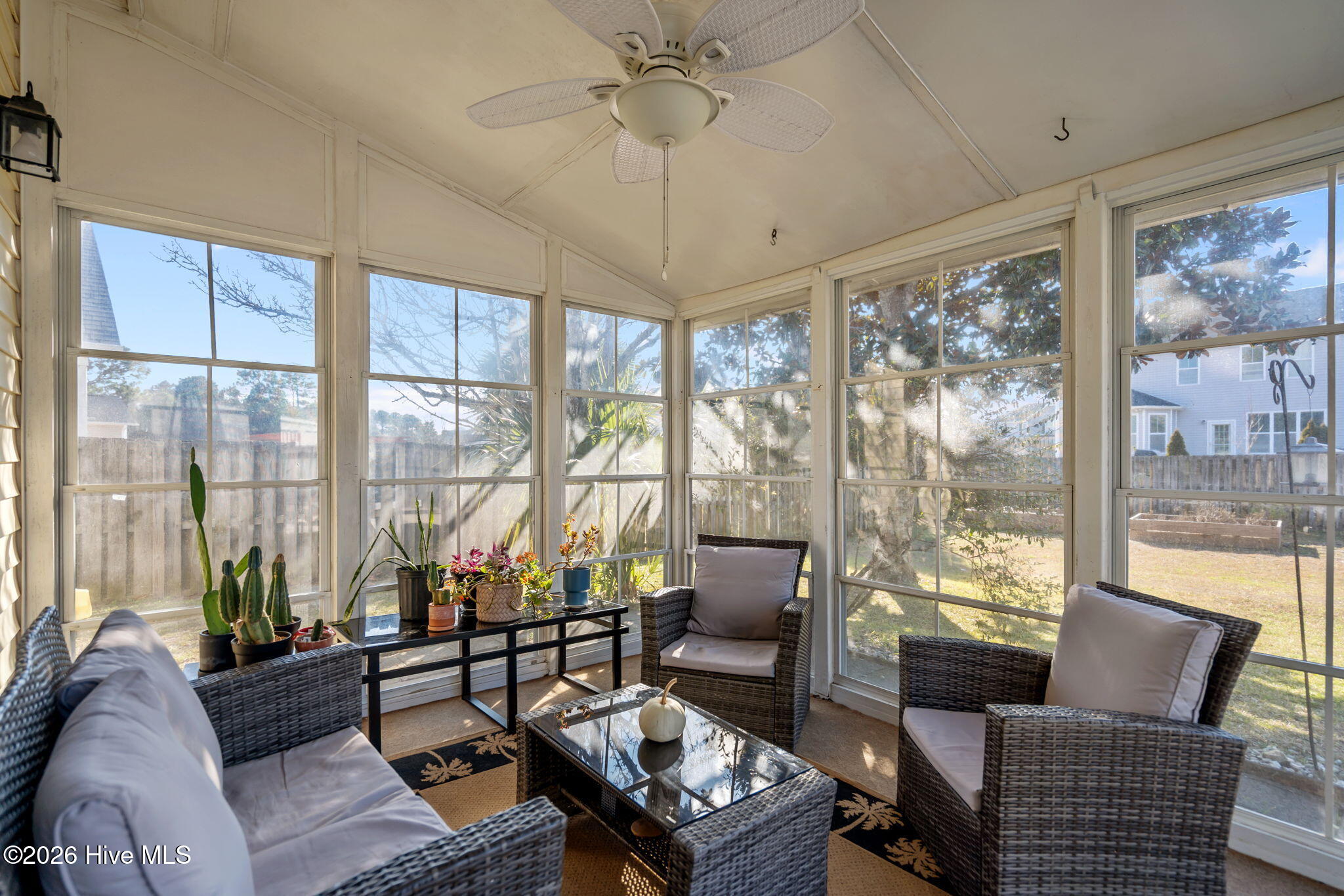 100552857 | Photo 41