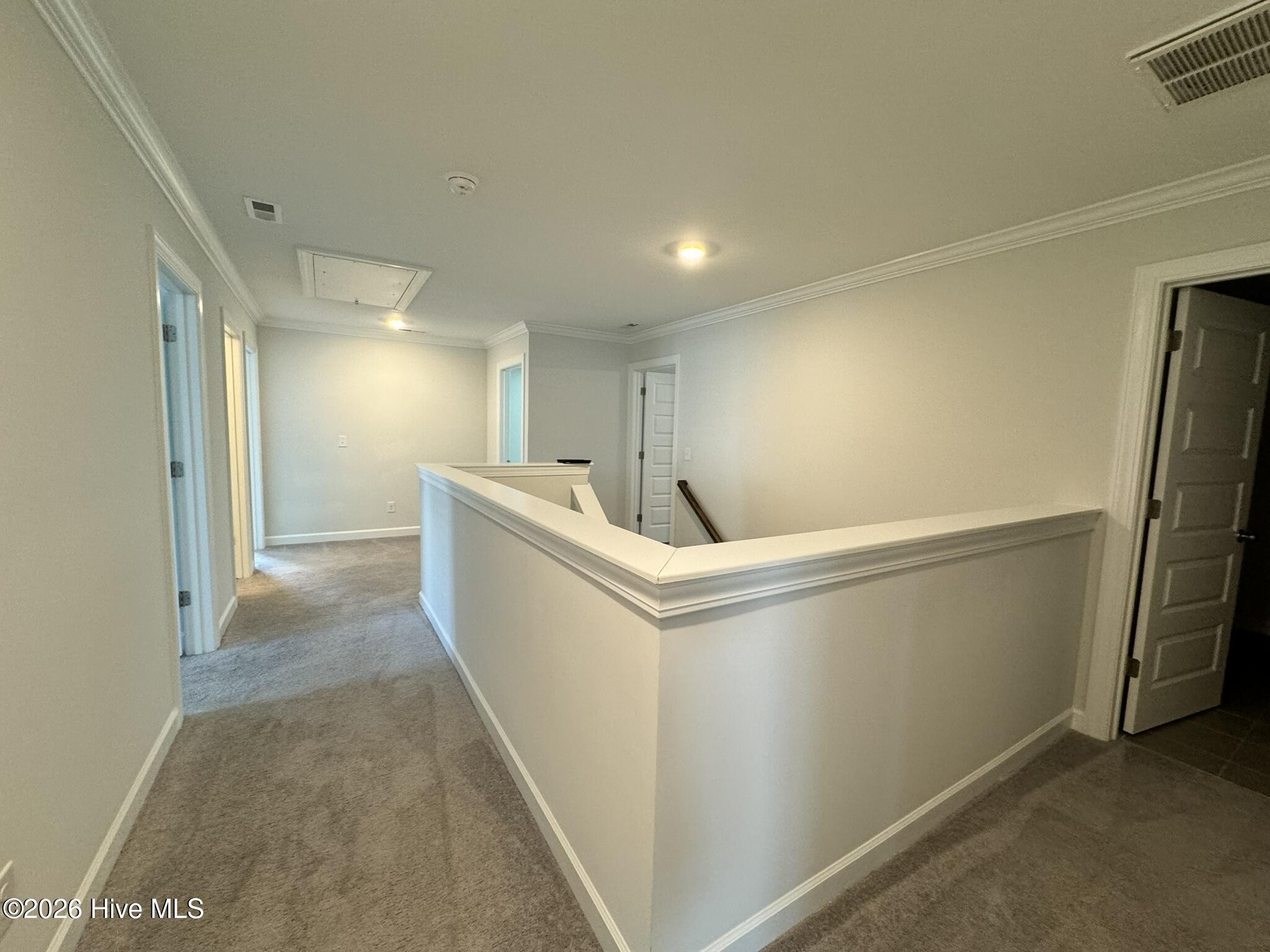 100558749 | Photo 34