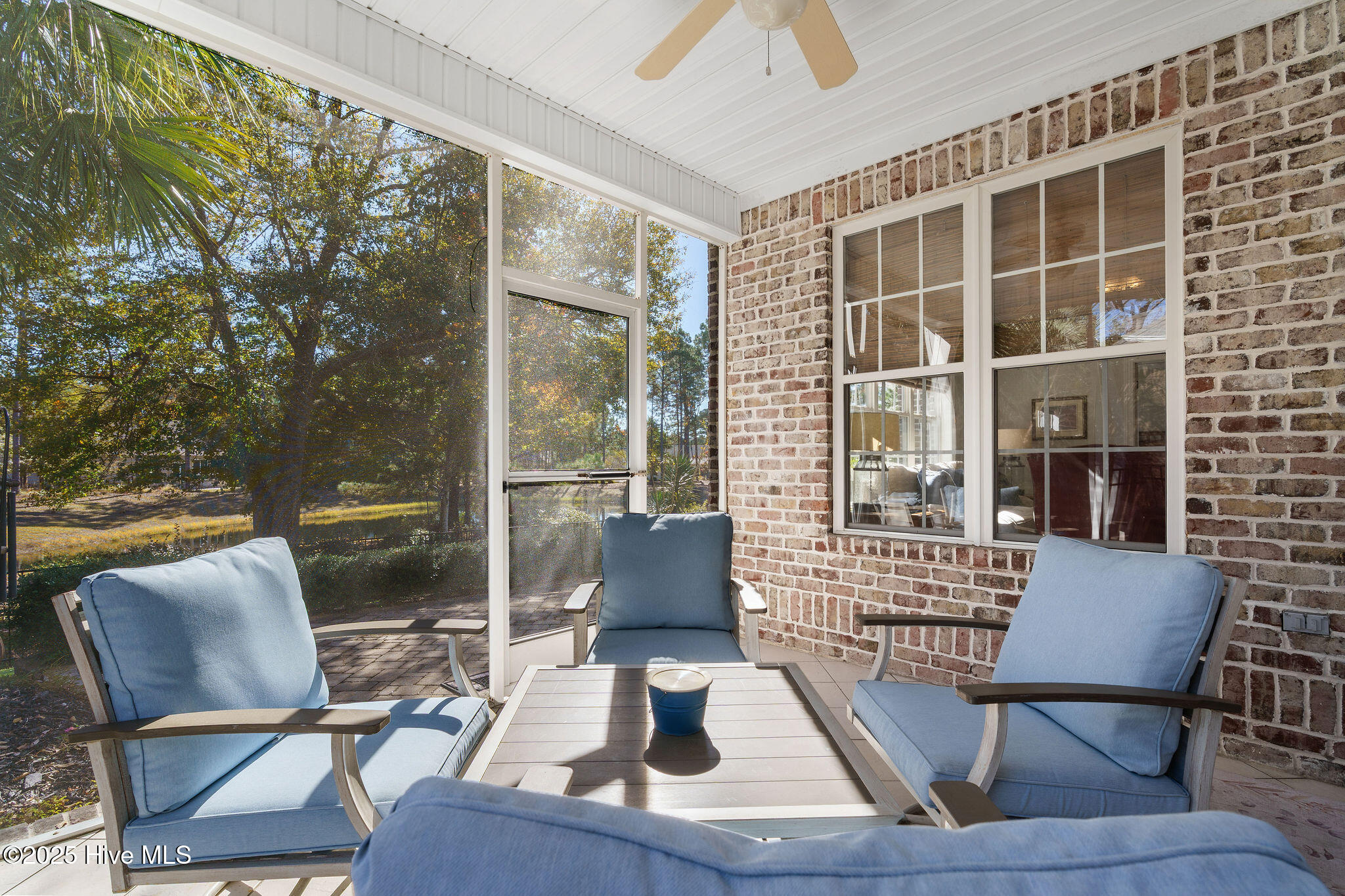 100542530 | Photo 19