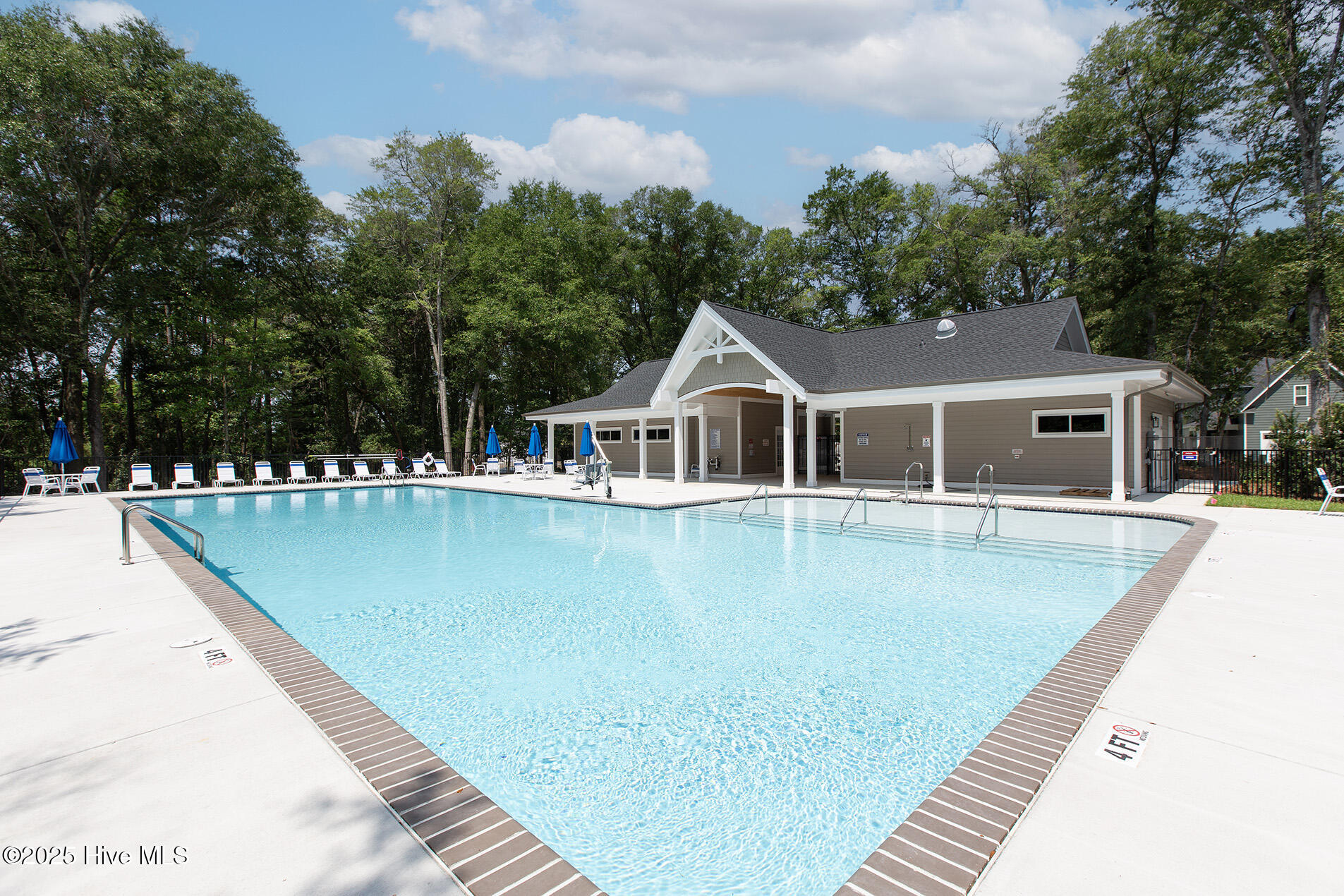 100556749 | Photo 81