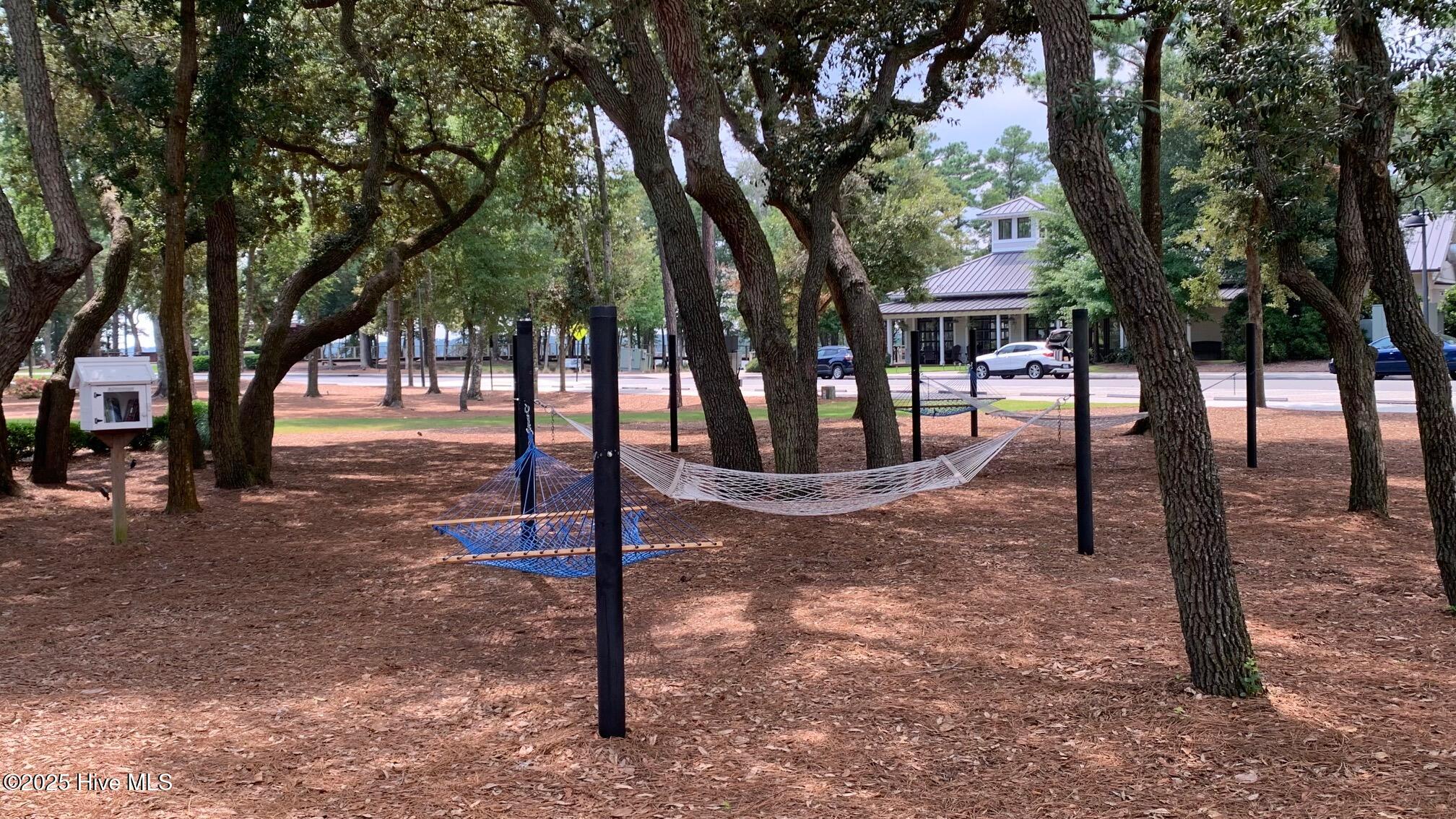 100524366 | Photo 99