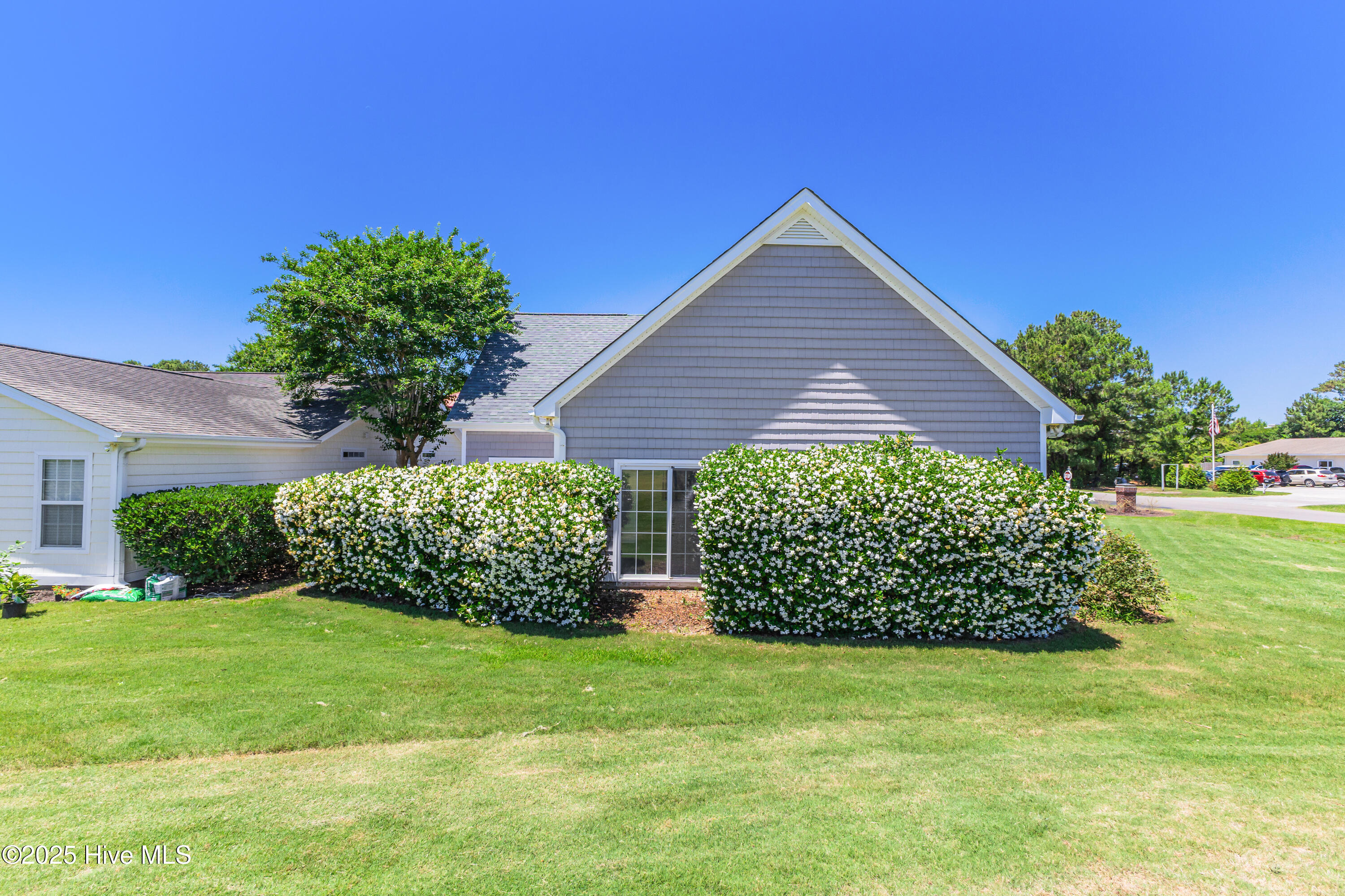 100563033 | Photo 39