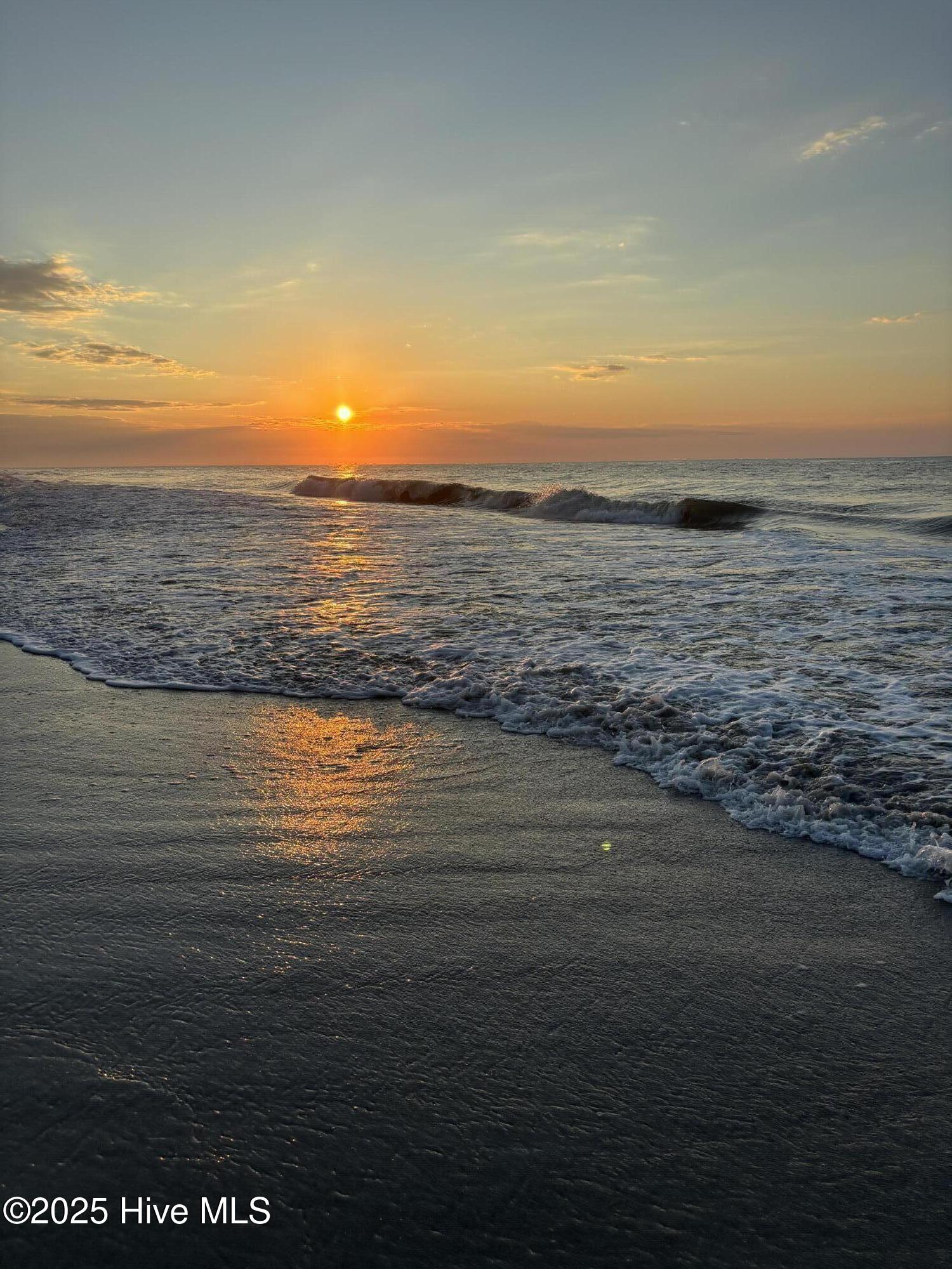 100558310 | Photo 70