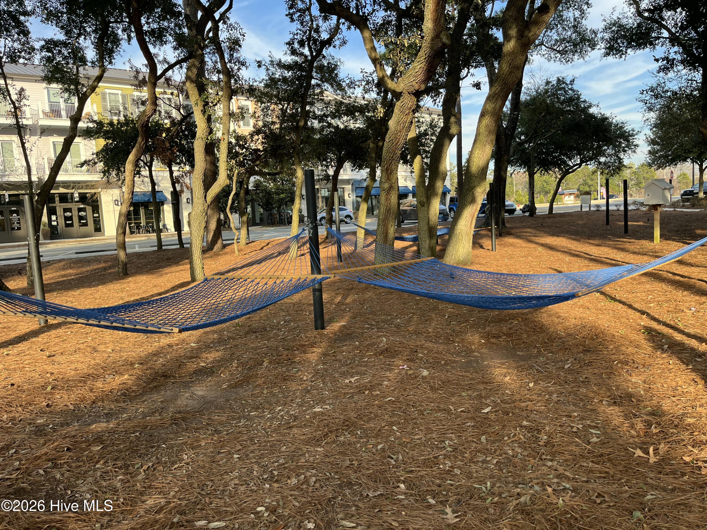 100554120 | Photo 96