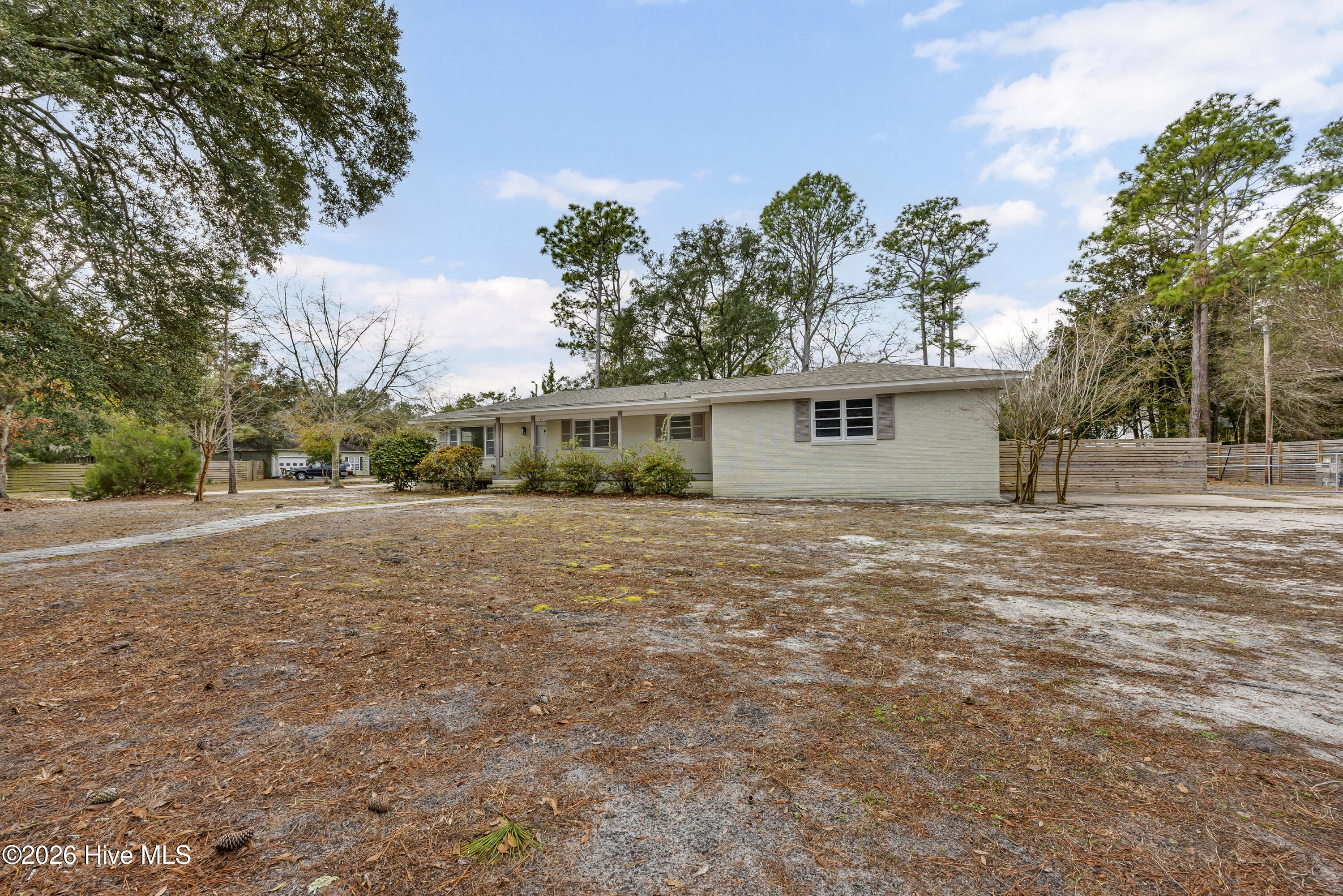 100548669 | Photo 25