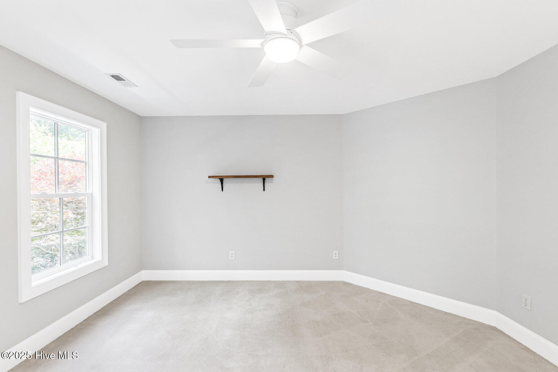 100495433 | Photo 33