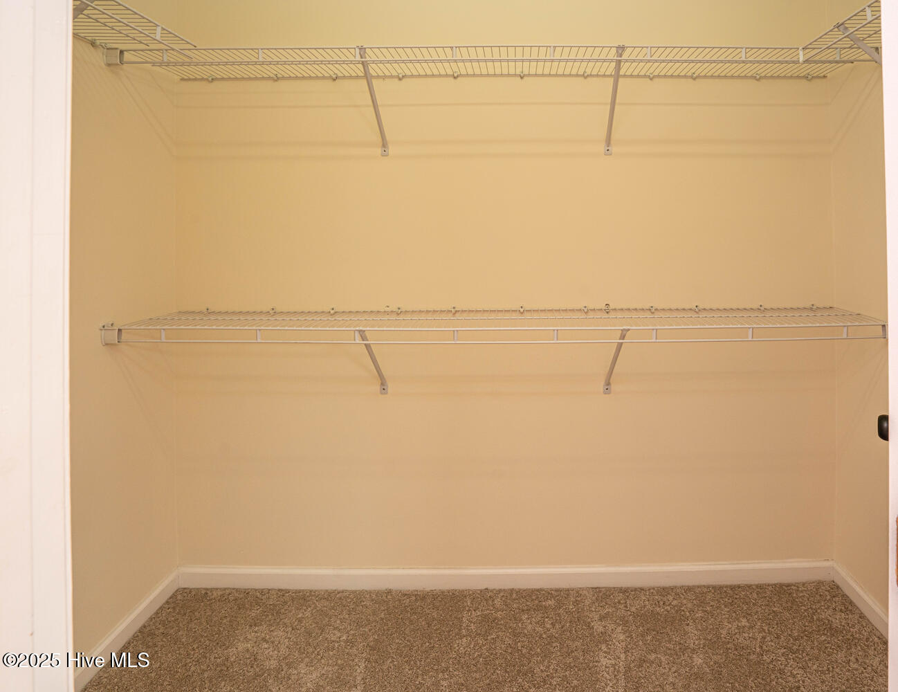 100530815 | Photo 19