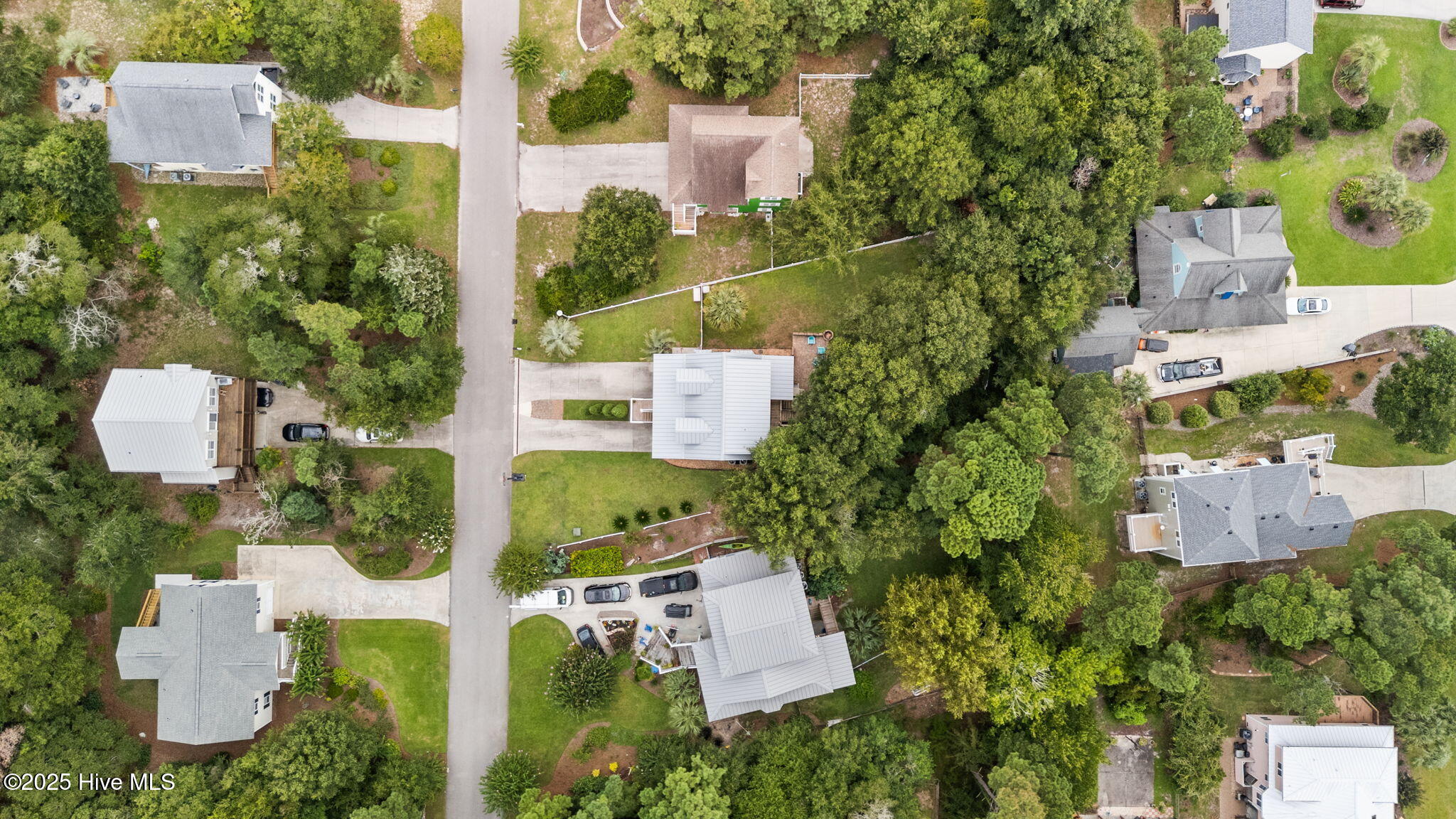 100535865 | Photo 50