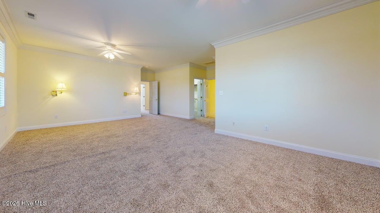 100568487 | Photo 37