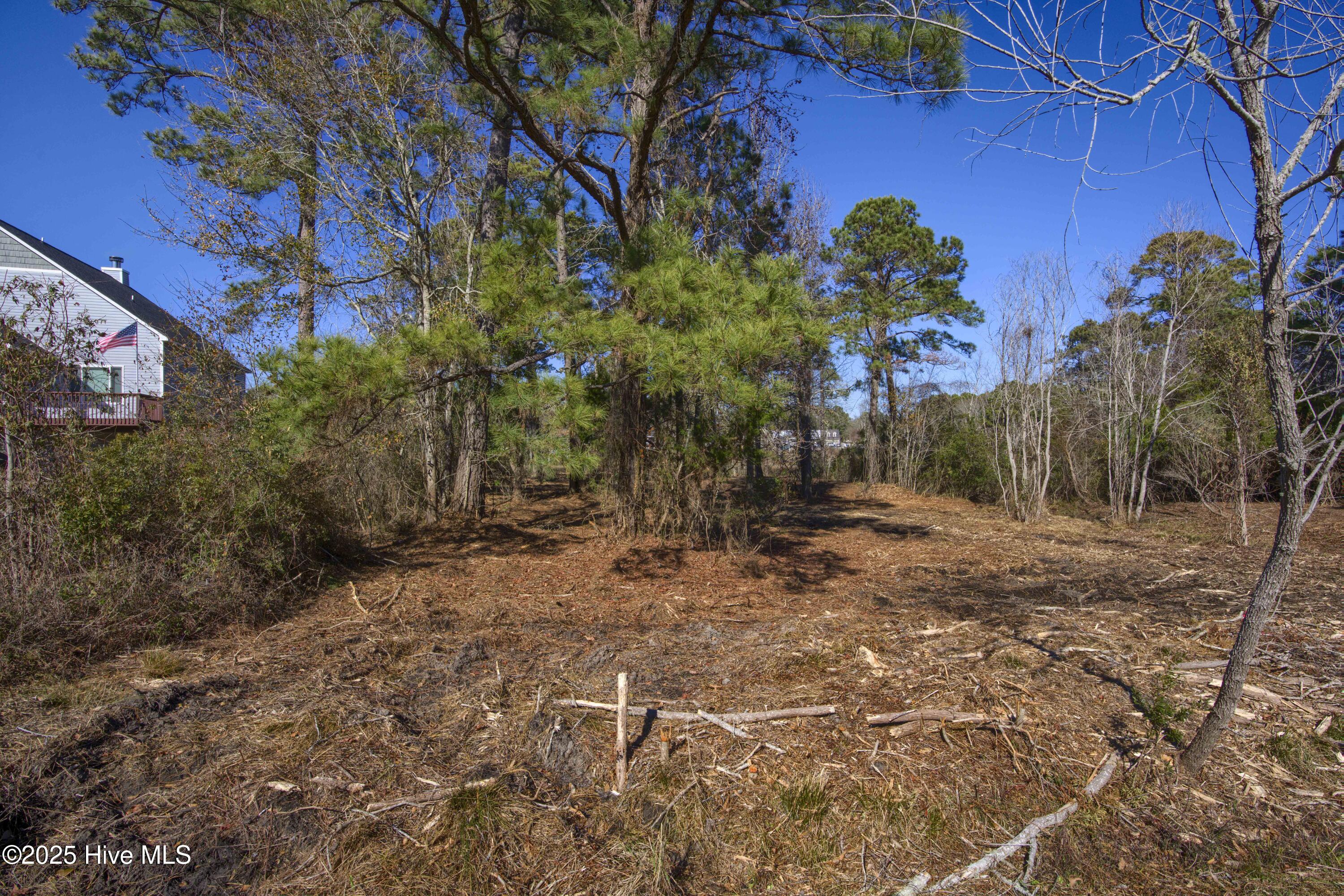 100559086 | Photo 45