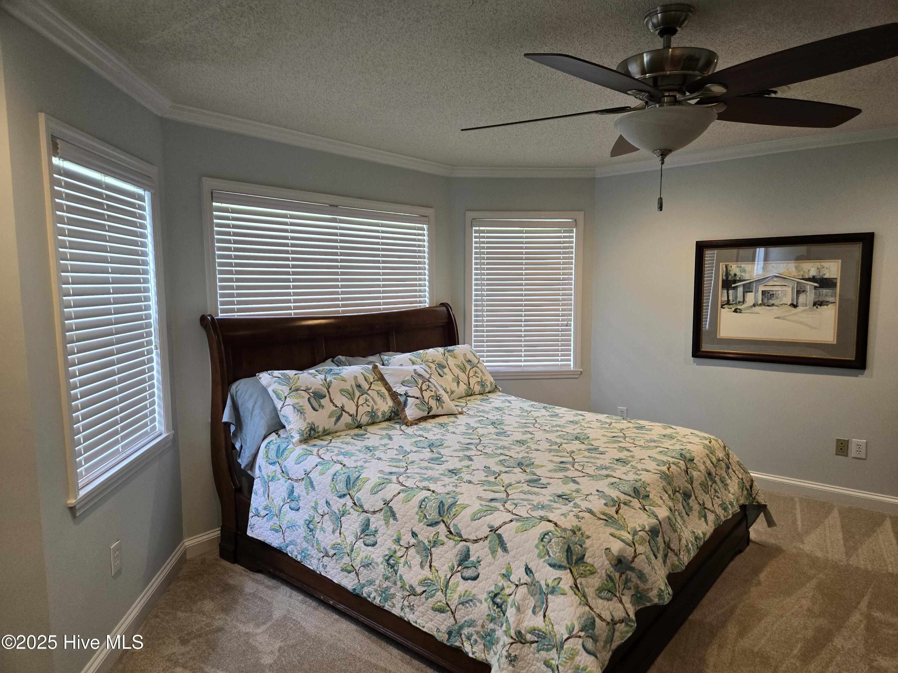 100517871 | Photo 12