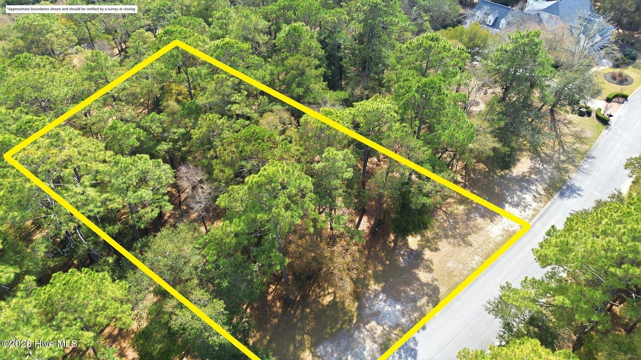 100562202 | Photo 11