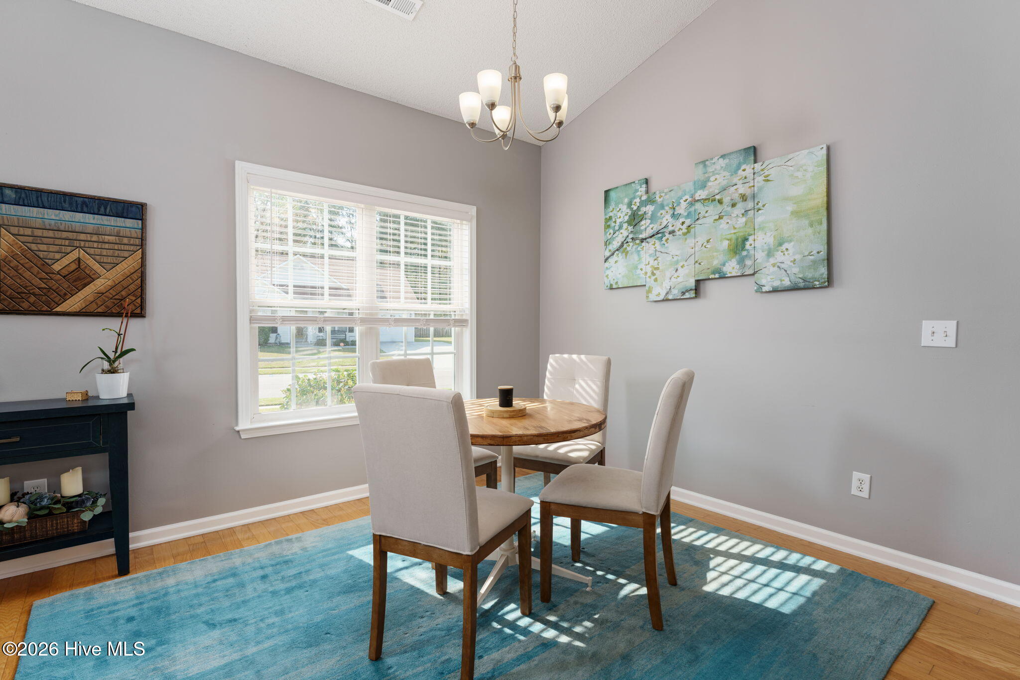 100563098 | Photo 14