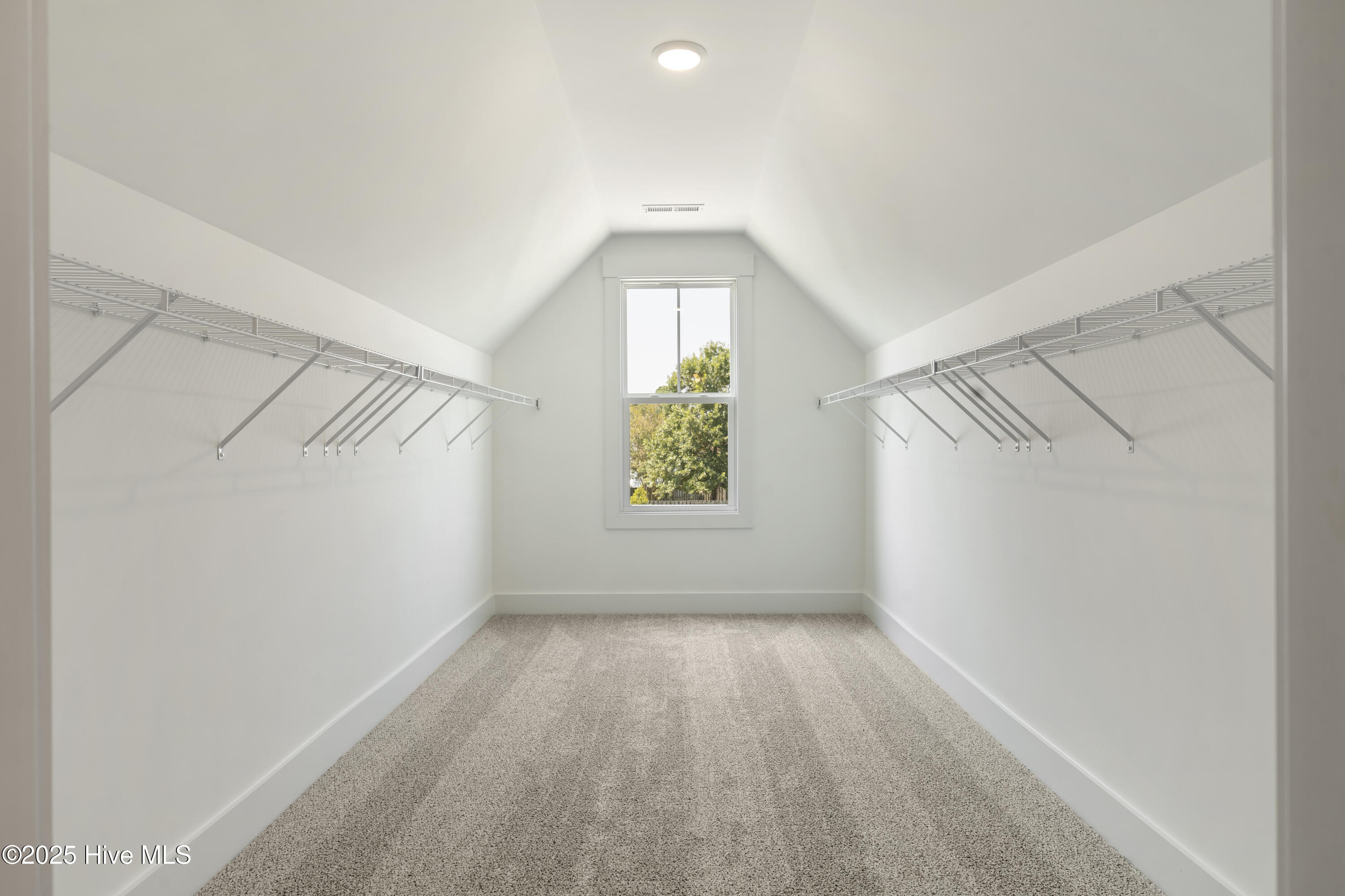 100537414 | Photo 19