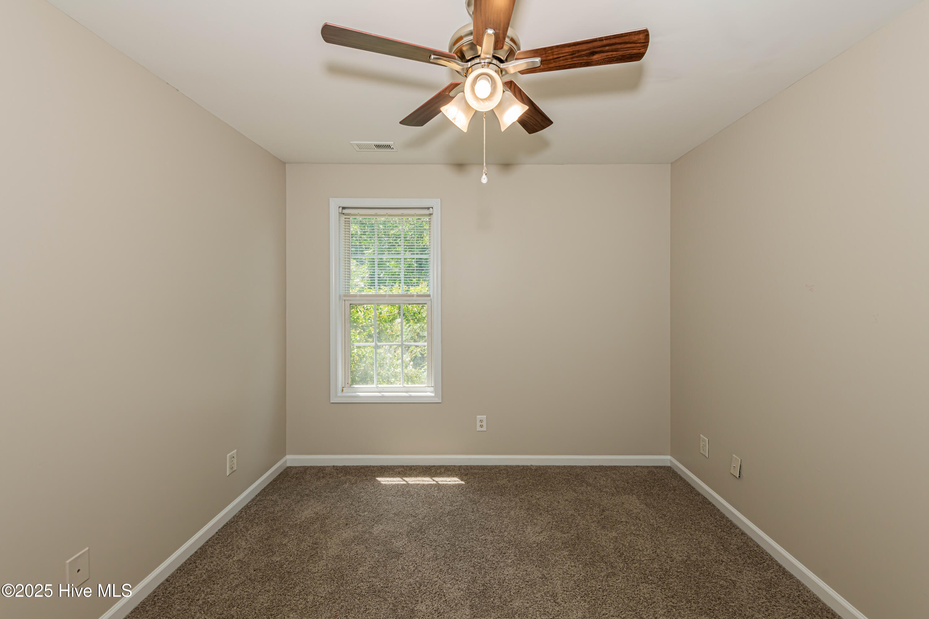 100521168 | Photo 35