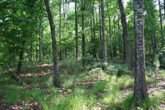 00 Augusta Highway, Dearing, GA 30808 Listing Photo  2