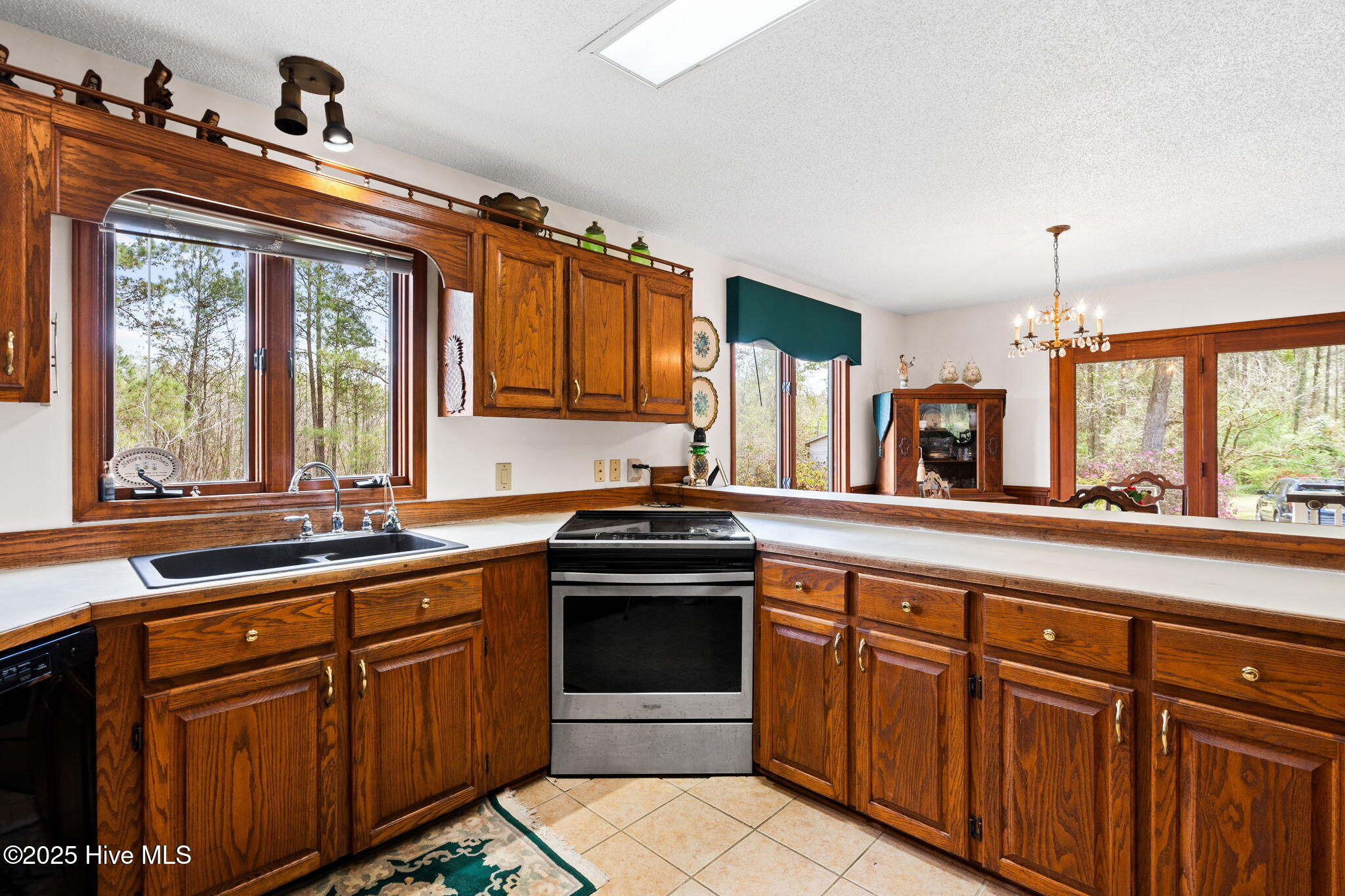 100499054 | Photo 19