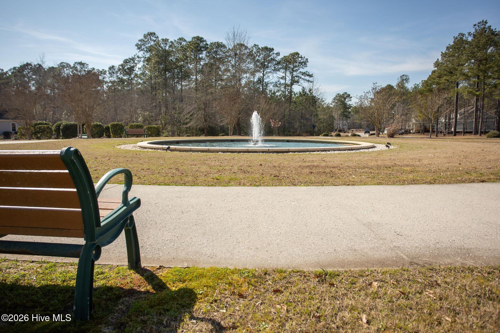 100560702 | Photo 86