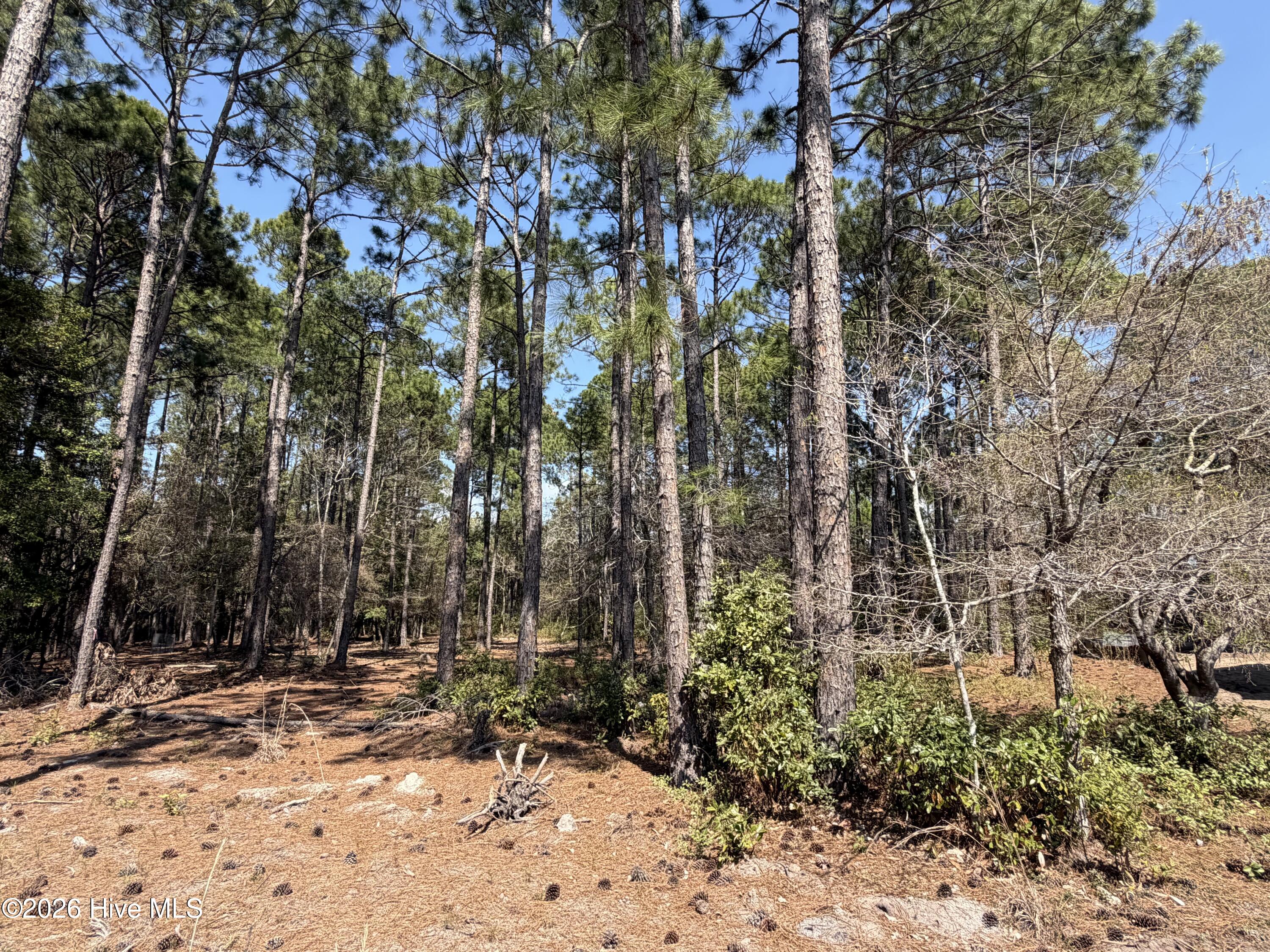 6786 Holton Place, Ocean Isle Beach, NC, 28469