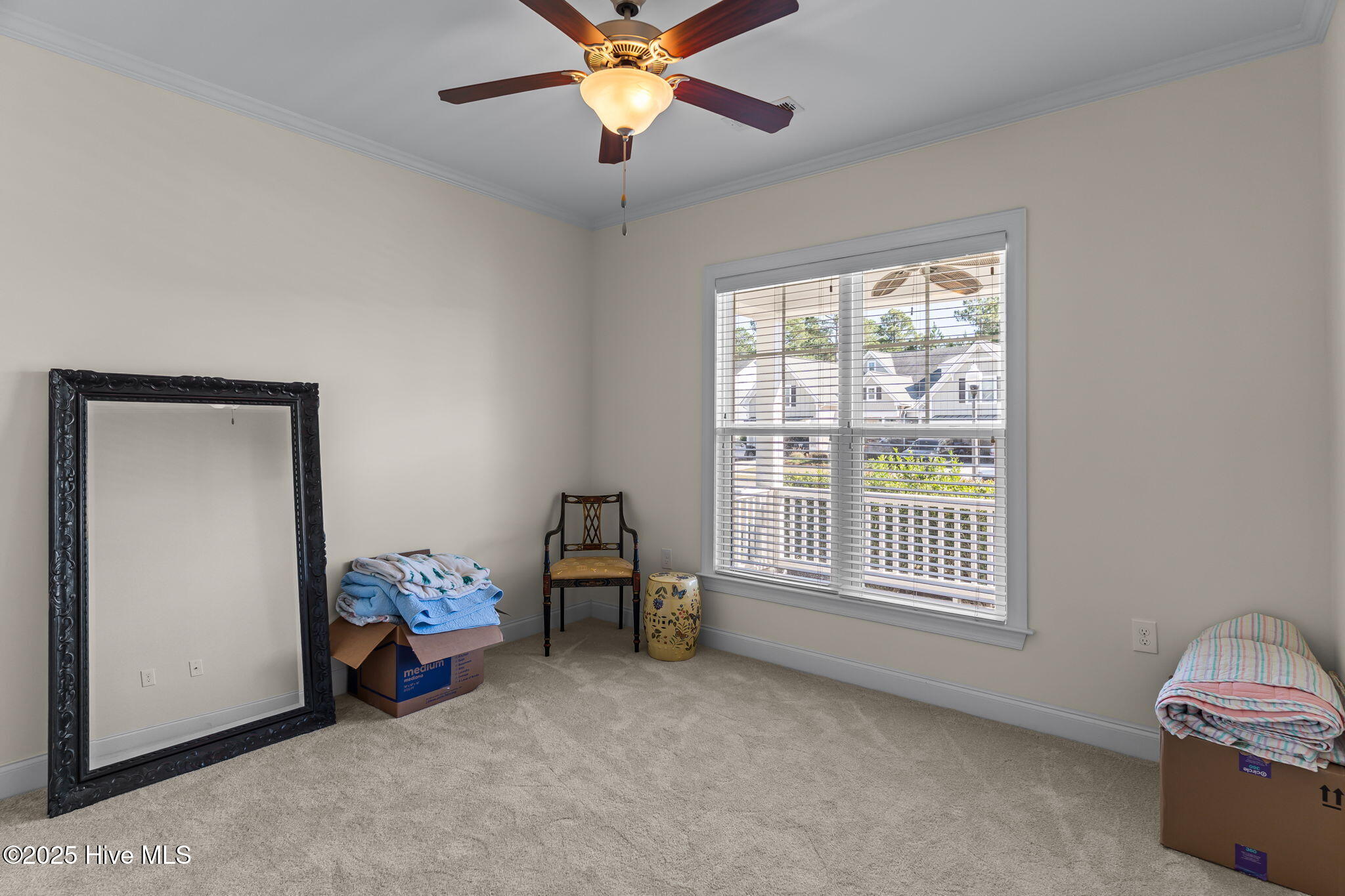 100538219 | Photo 26