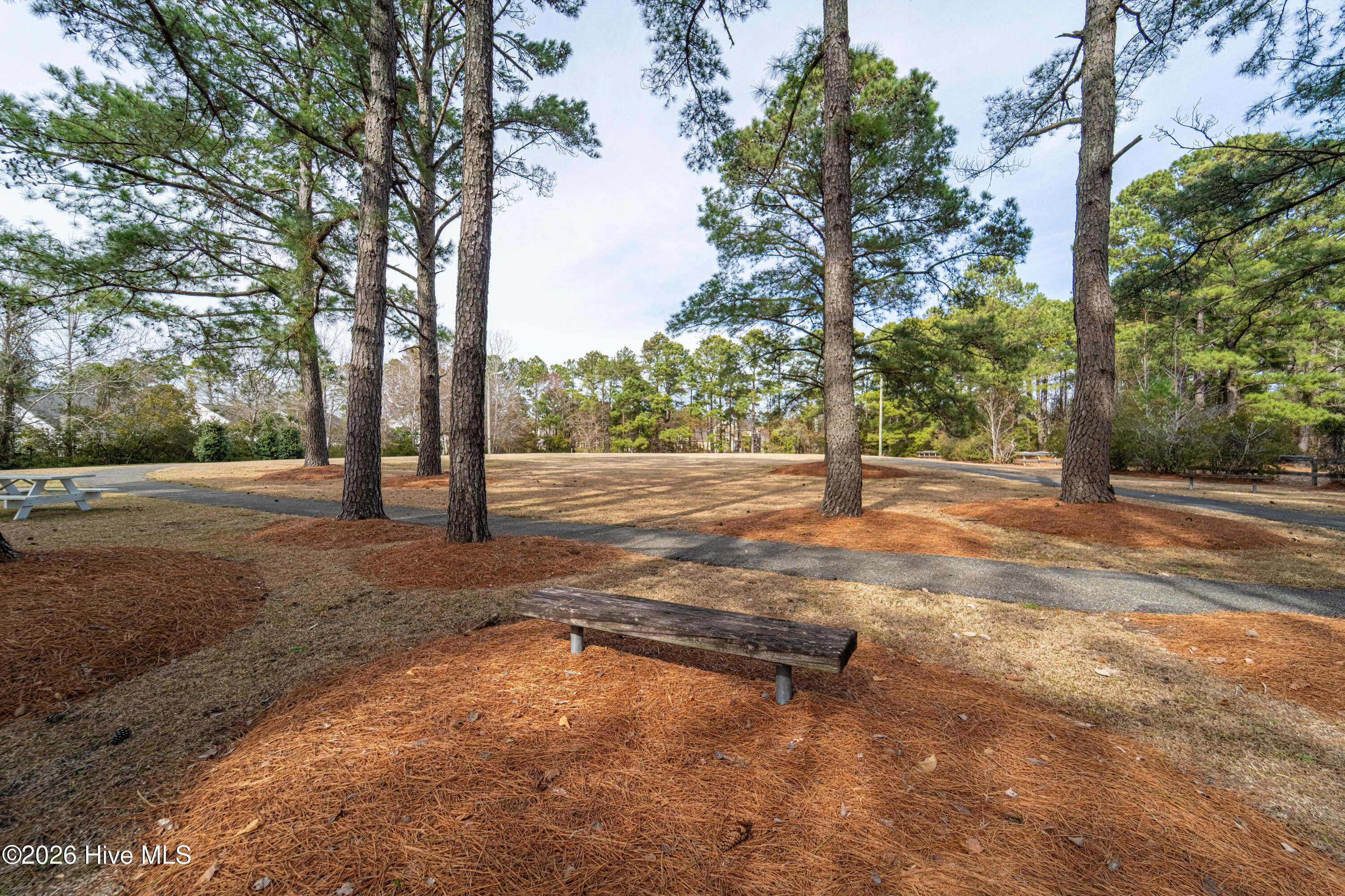 100555847 | Photo 30