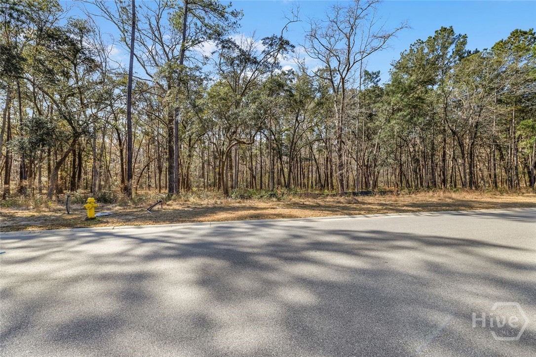 Homes for sale in Pooler, GA | 151 Wood Haven Ln, Pooler, GA 31322 | MLS# SA349236