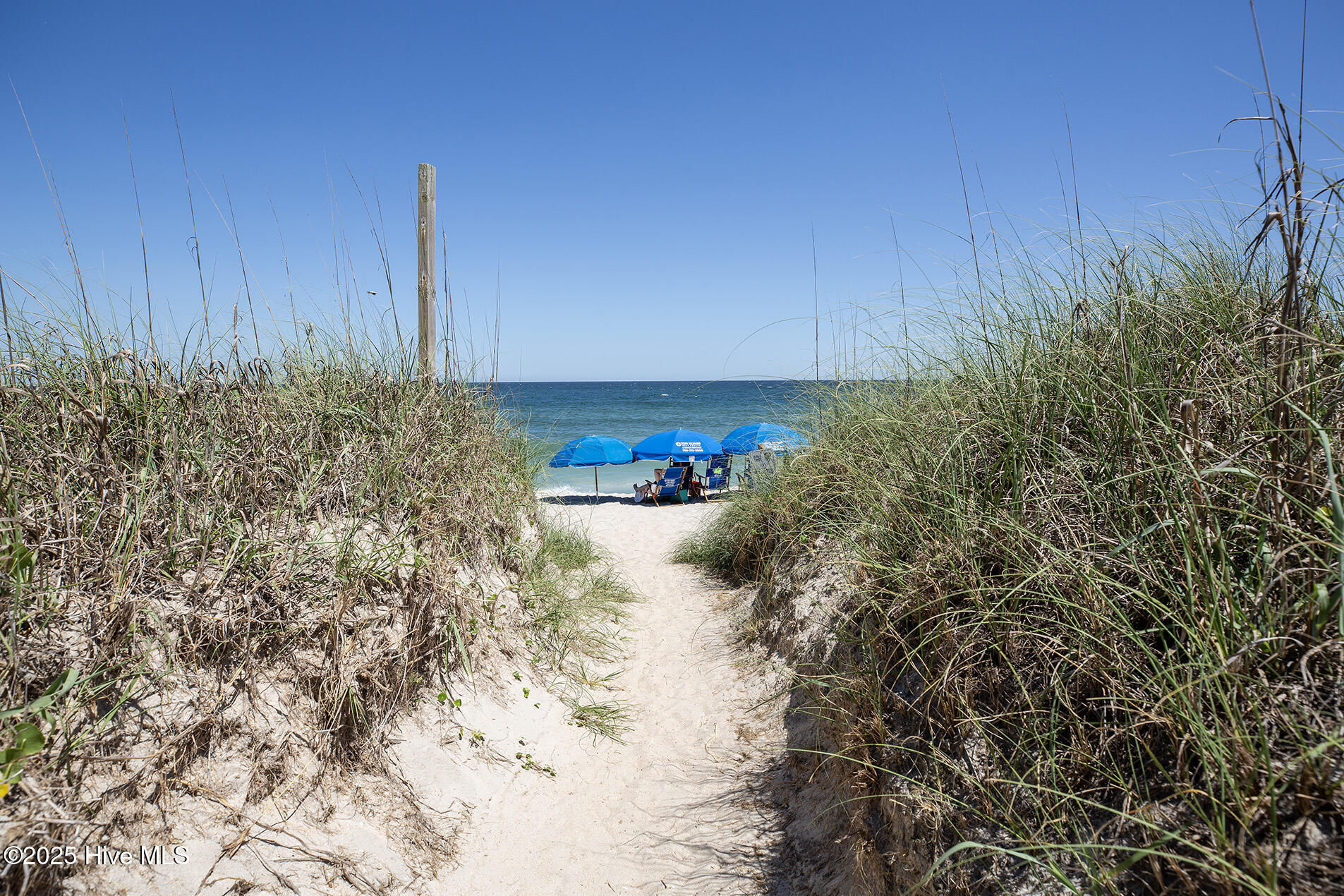 100557922 | Photo 37