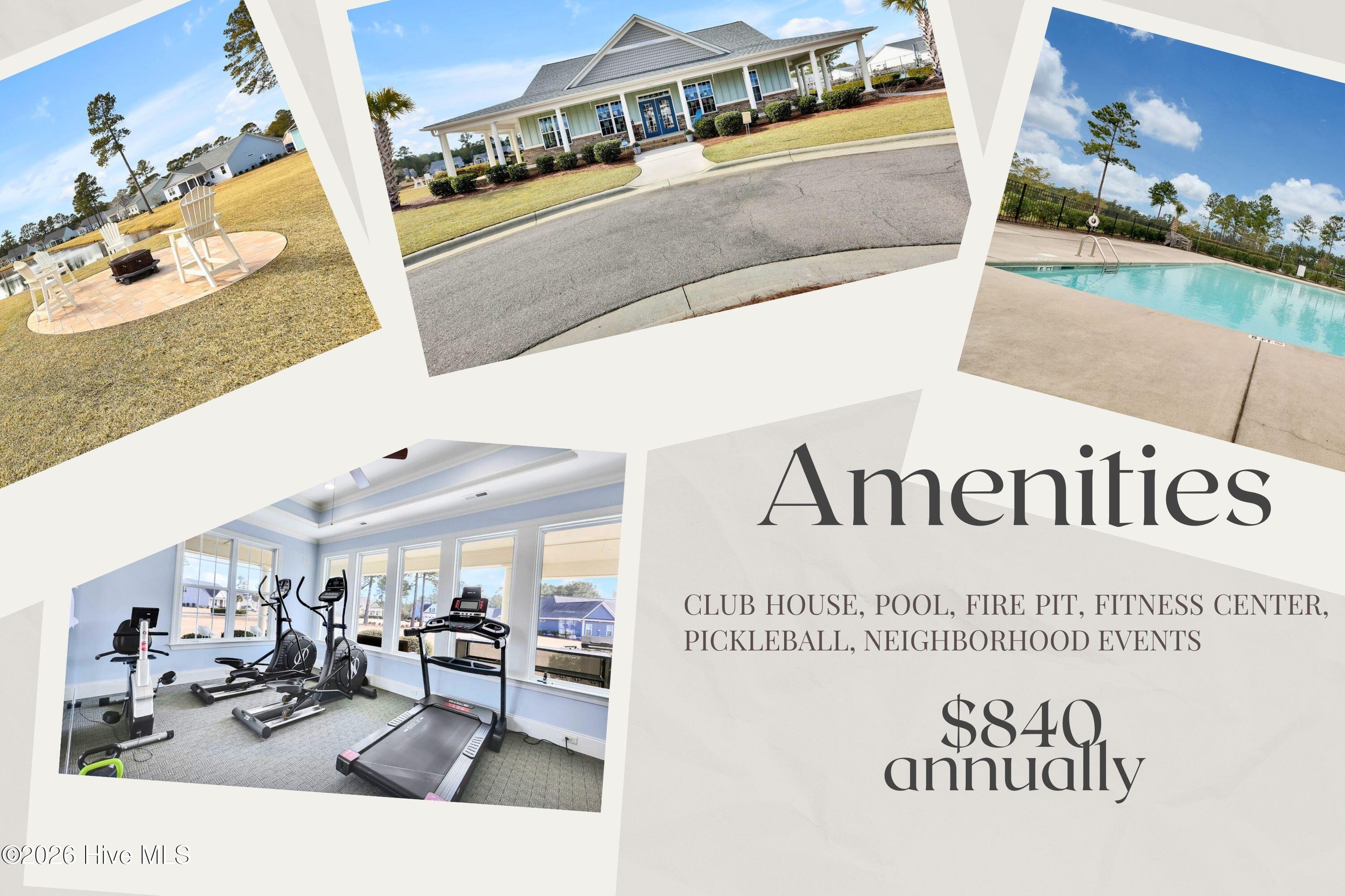 100554115 | Photo 39