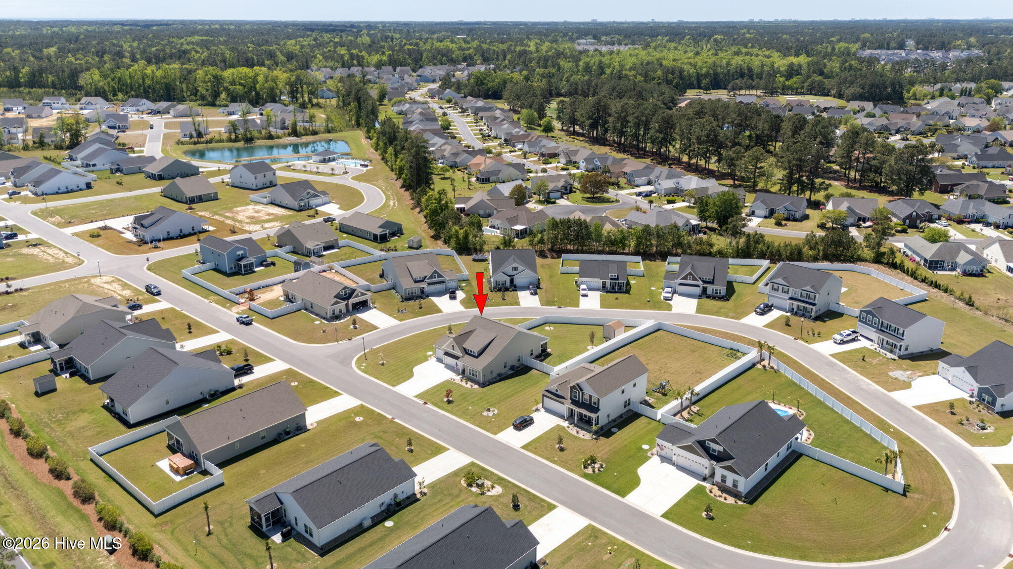 100567205 | Photo 44