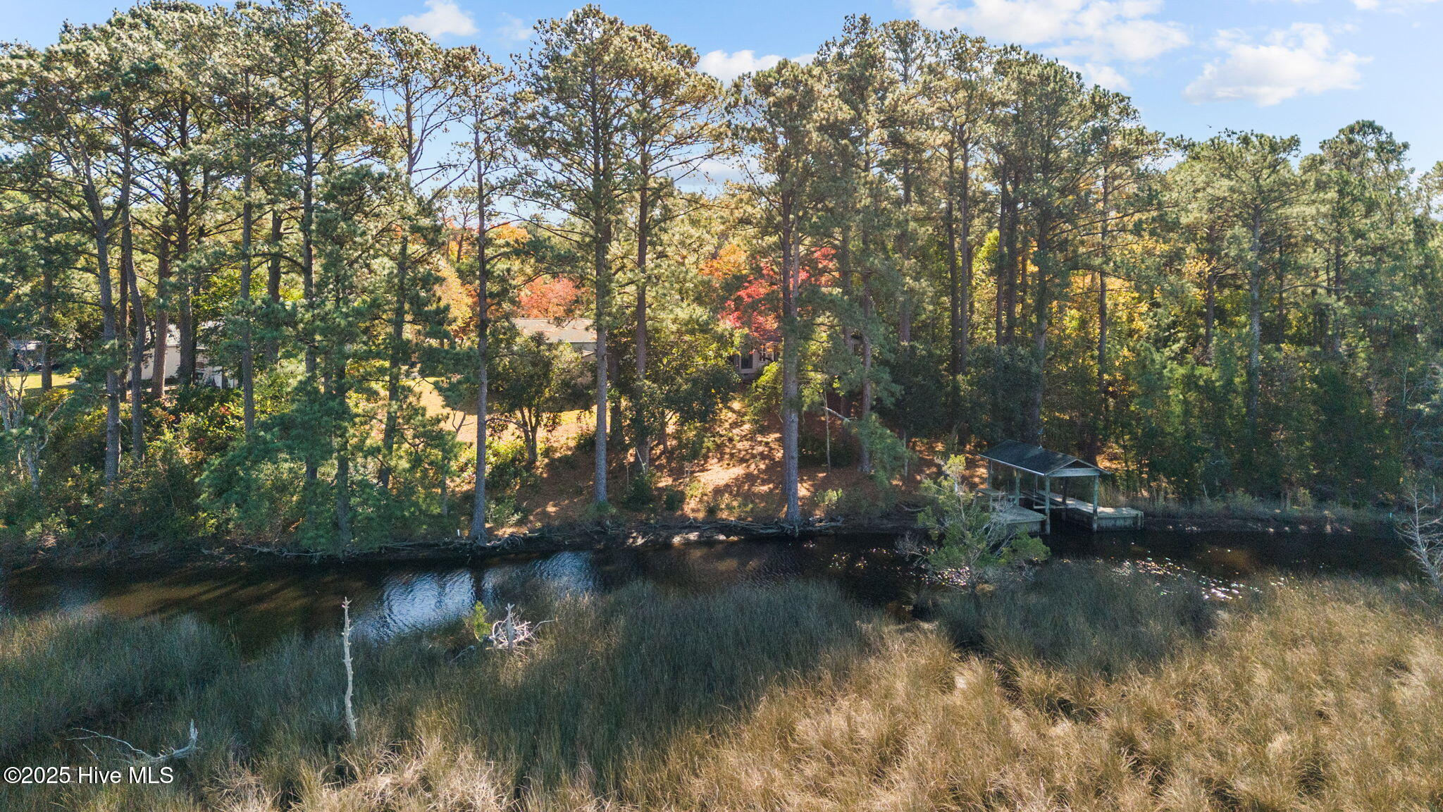 100541543 | Photo 32