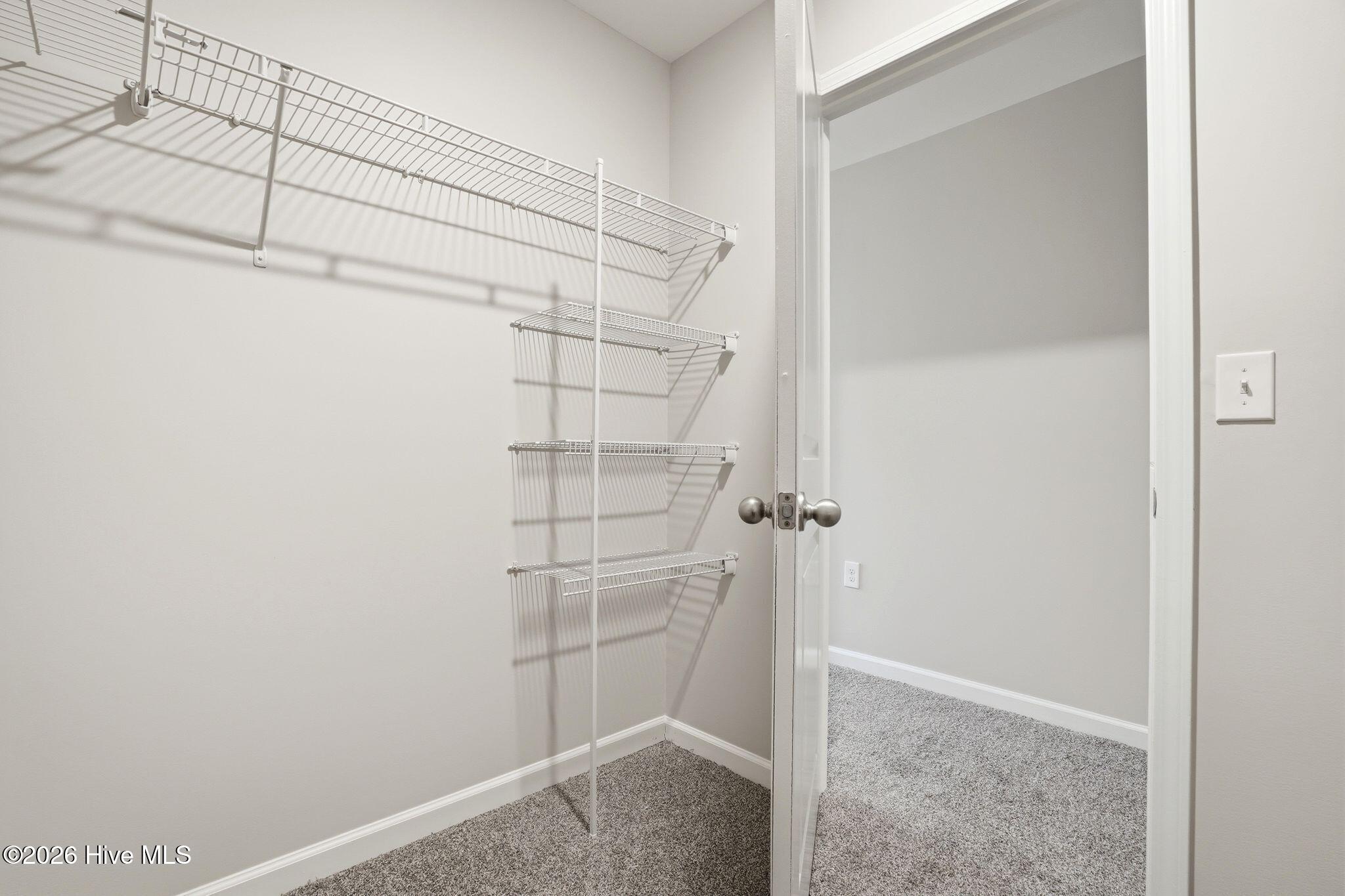 100558624 | Photo 32