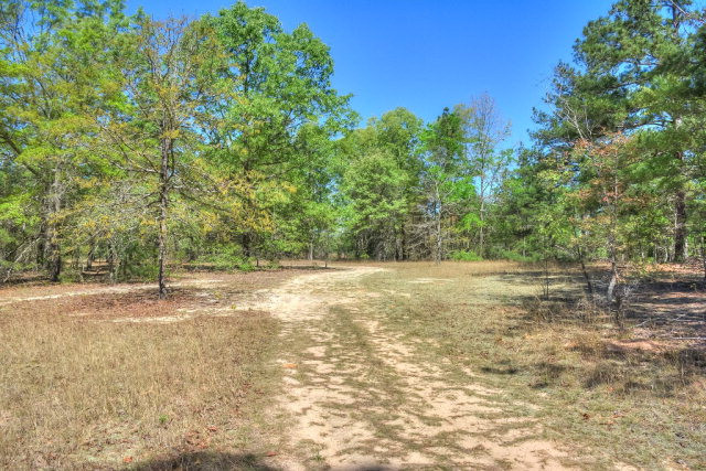 10955 Edgehill Road, Gibson, GA 30810 Listing Photo  36