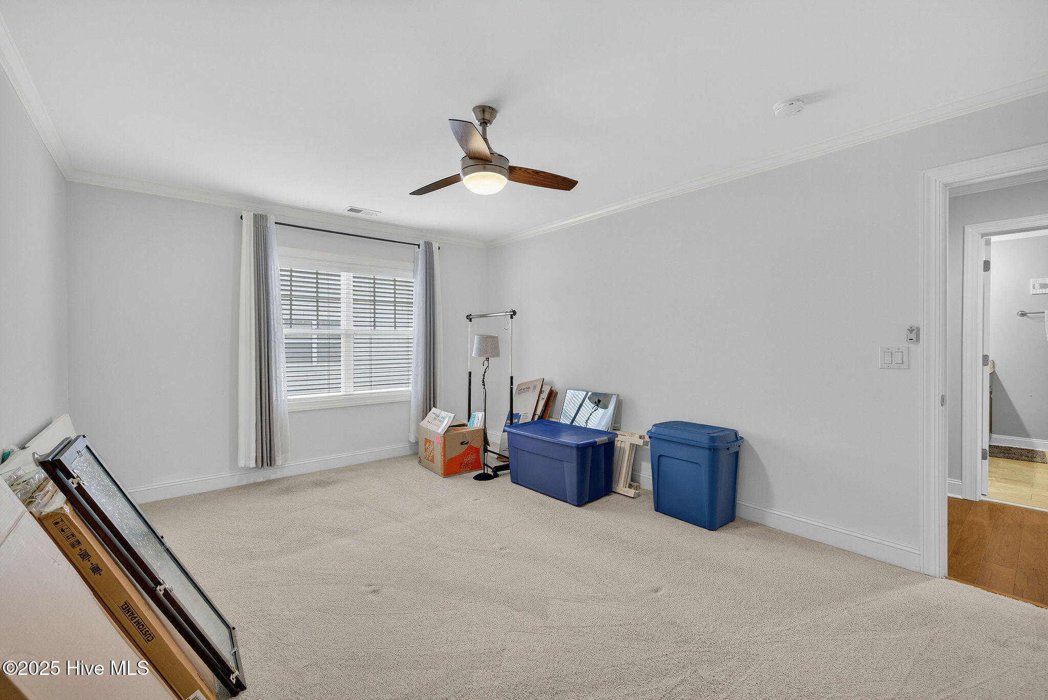 100538895 | Photo 35