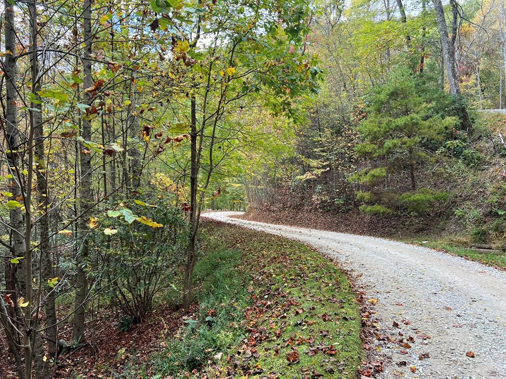 Lot 18 Black Bear, Nantahala, North Carolina, 0 ,For sale,Black Bear,98524914 Lot 18 Black Bear, Nantahala, North Carolina, 0 ,For sale,Black Bear,98524914