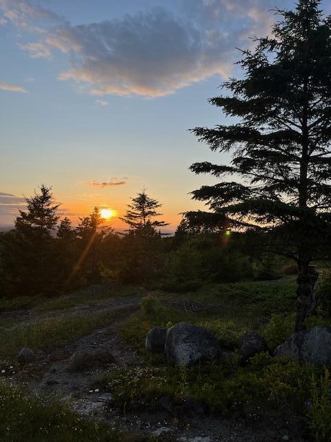 533 Mount Ephraim Map 4 Lot 63 Road, Searsport, ME, 04974