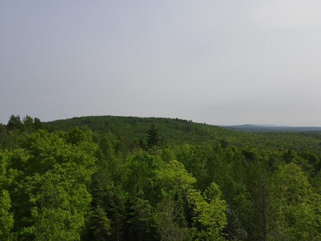 Lot 11 Mt. Jefferson Heights, Lee, ME, 04455