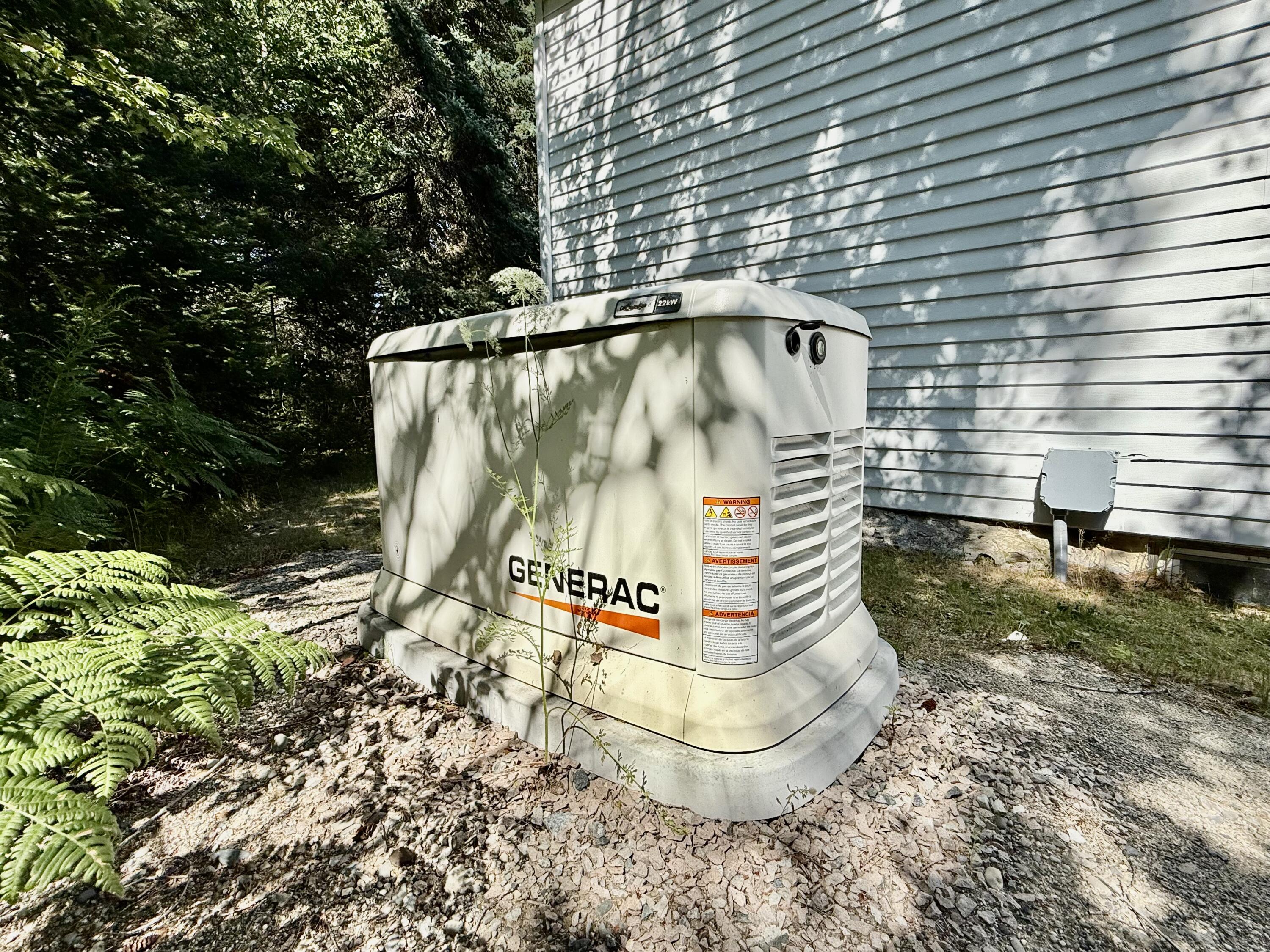 Generac generator