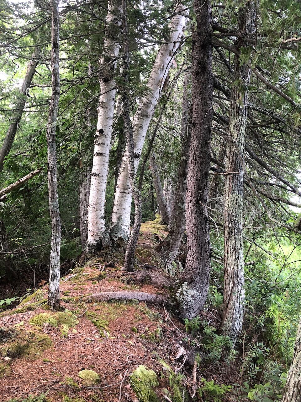 06 Swett Brook Lane, Weld, ME, 04285